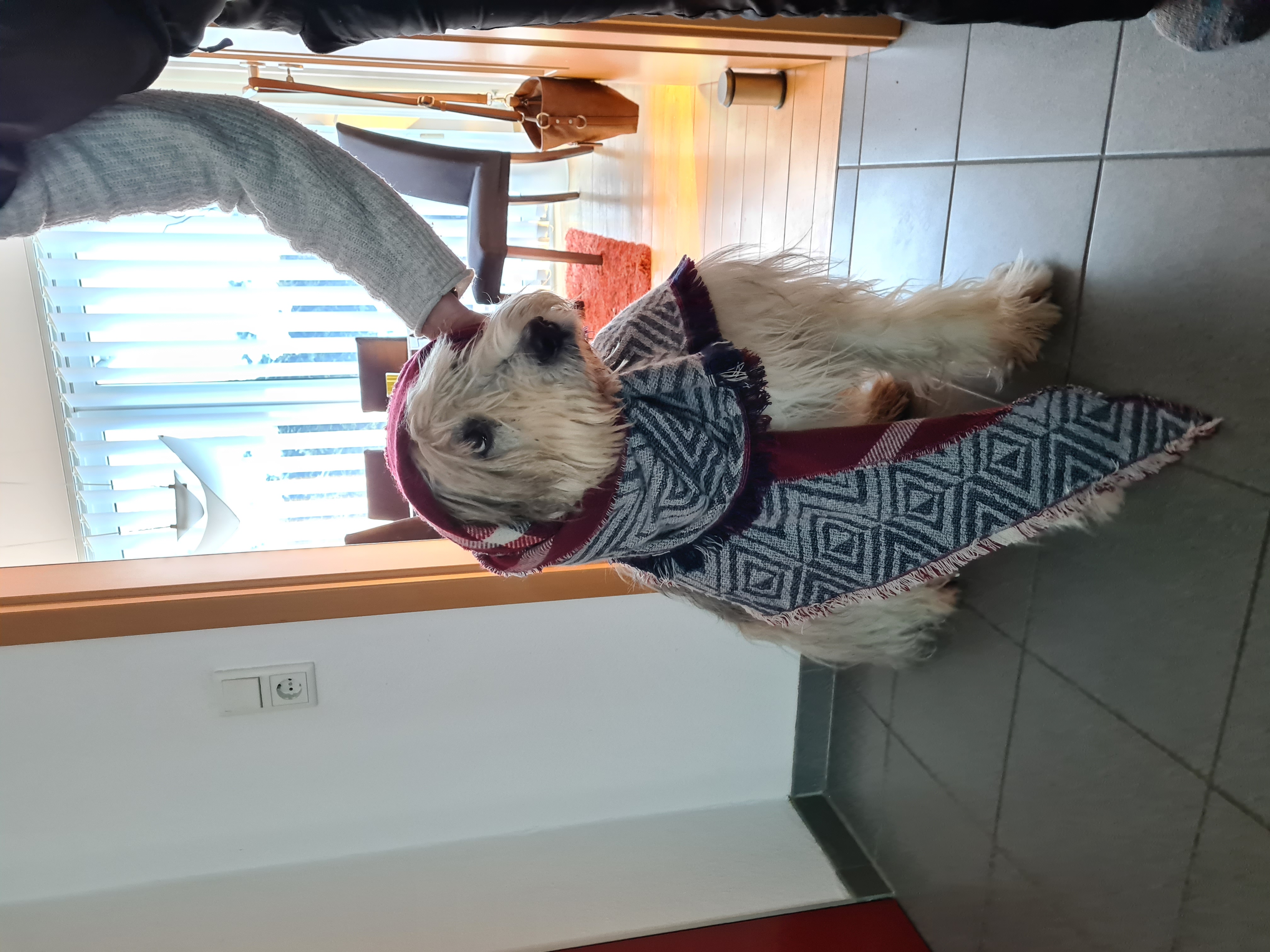 Enspanntertag (3).jpg