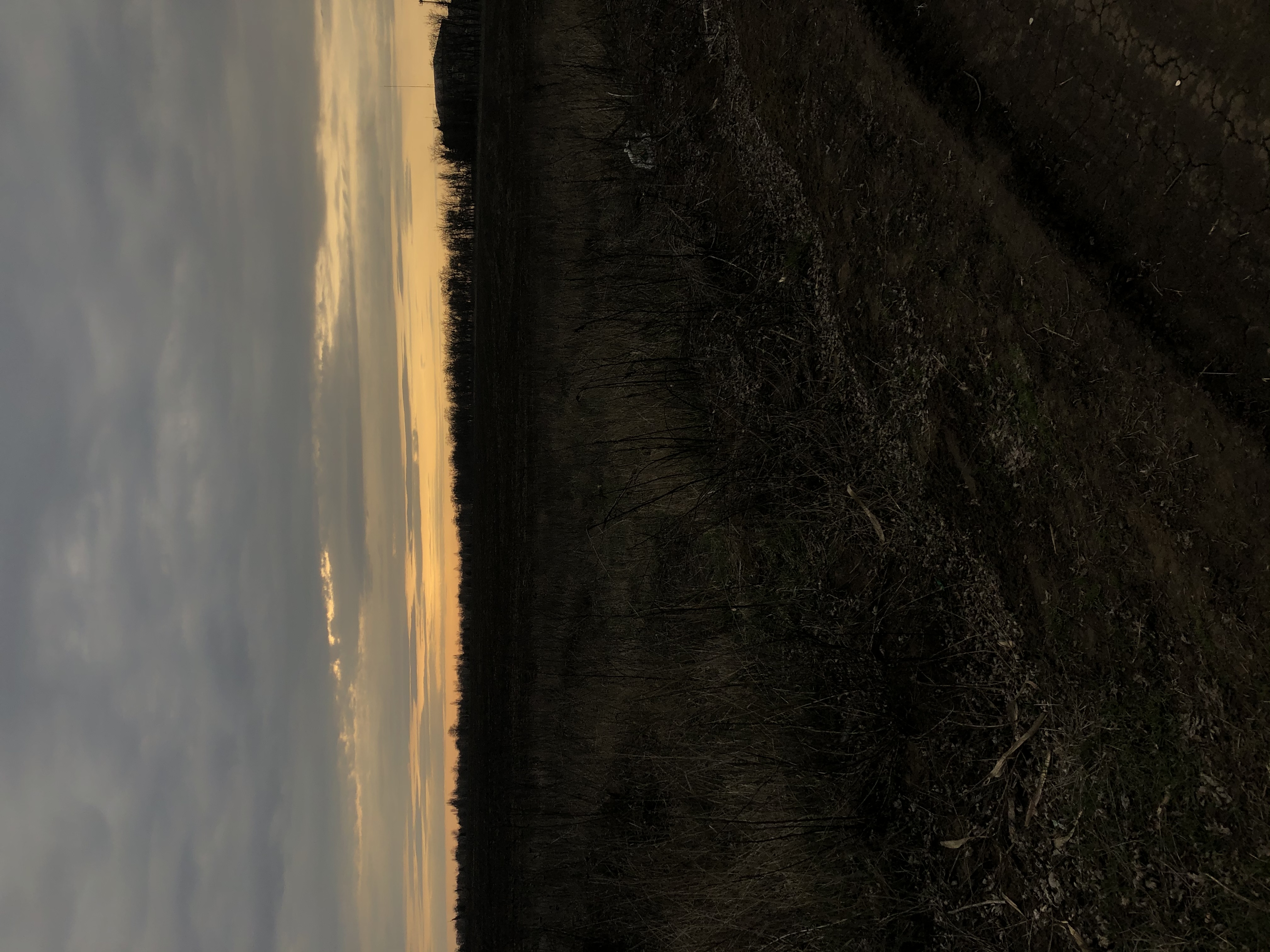 F450B702-E3A4-4215-B548-2B35732D8A48.jpeg