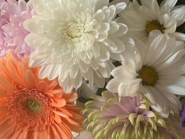image13.jpeg