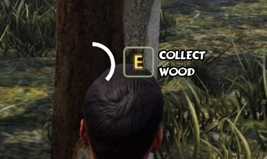 collection timer.jpg