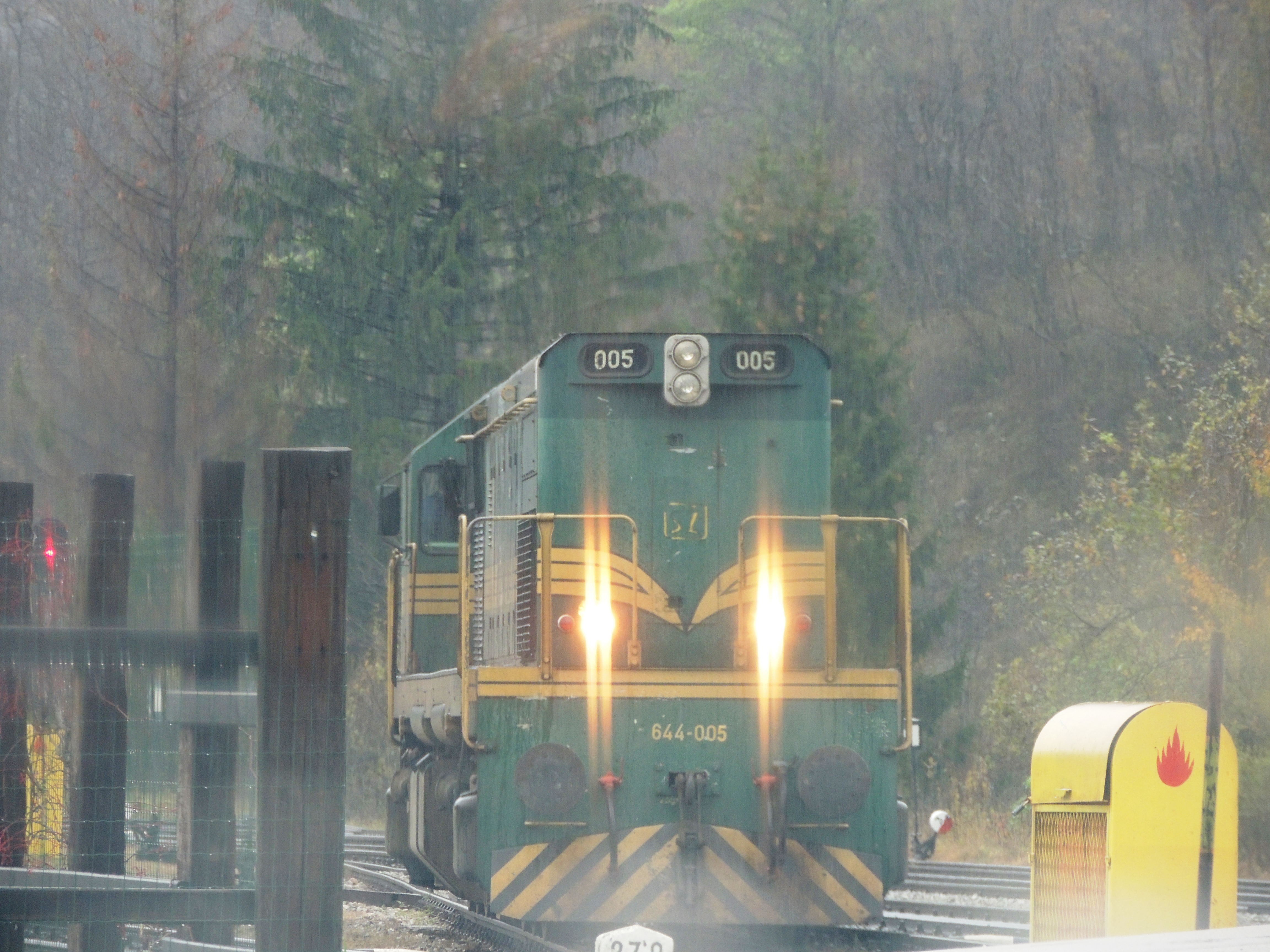 DSCN4535.JPG