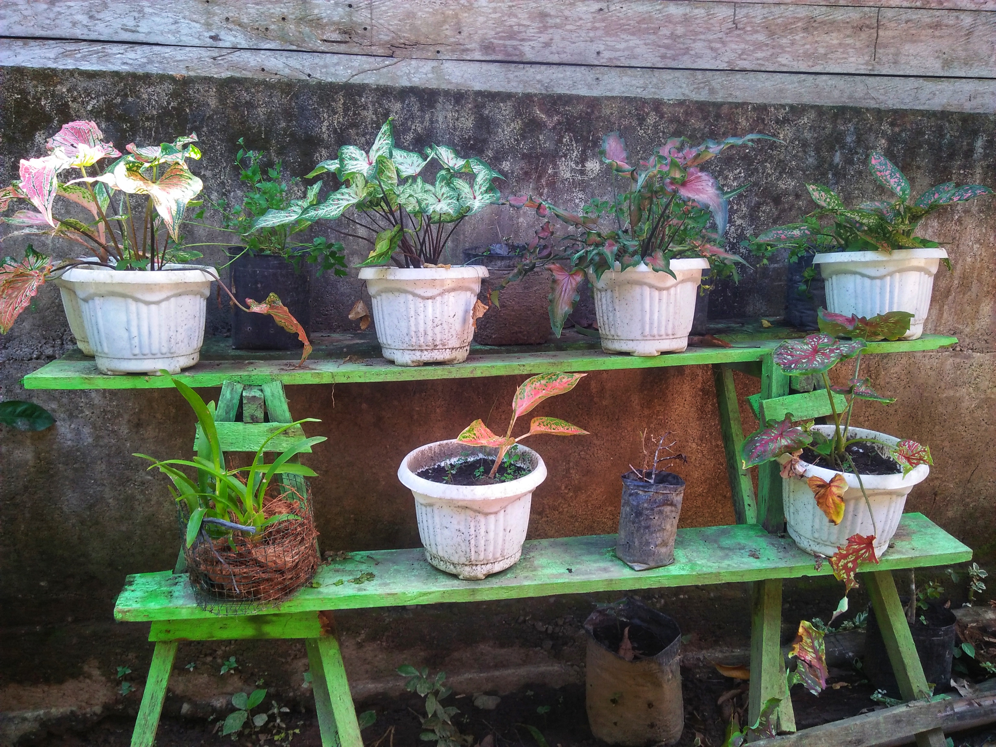 IMG20211225151810-01.jpeg
