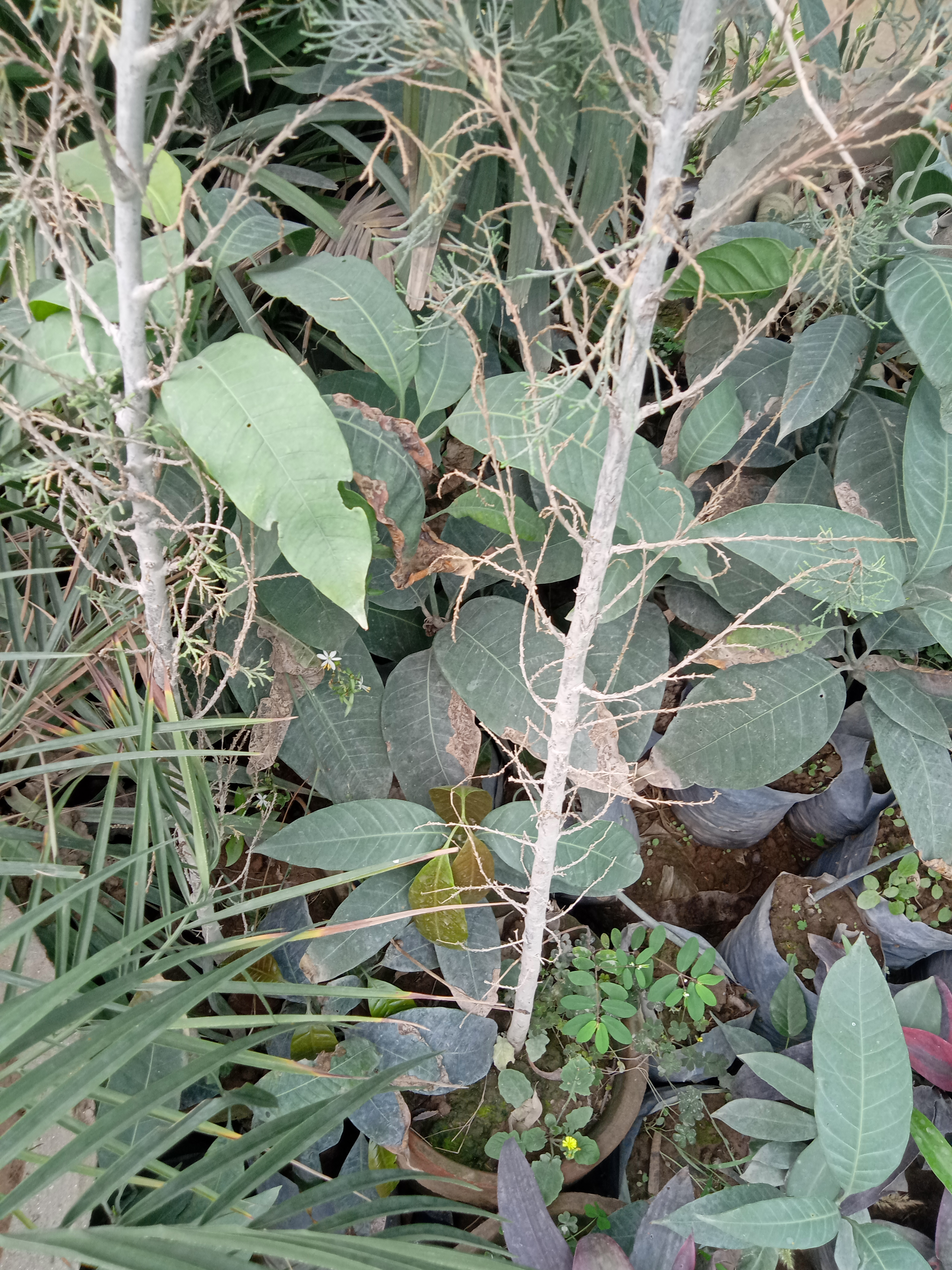 IMG20210501103915.jpg