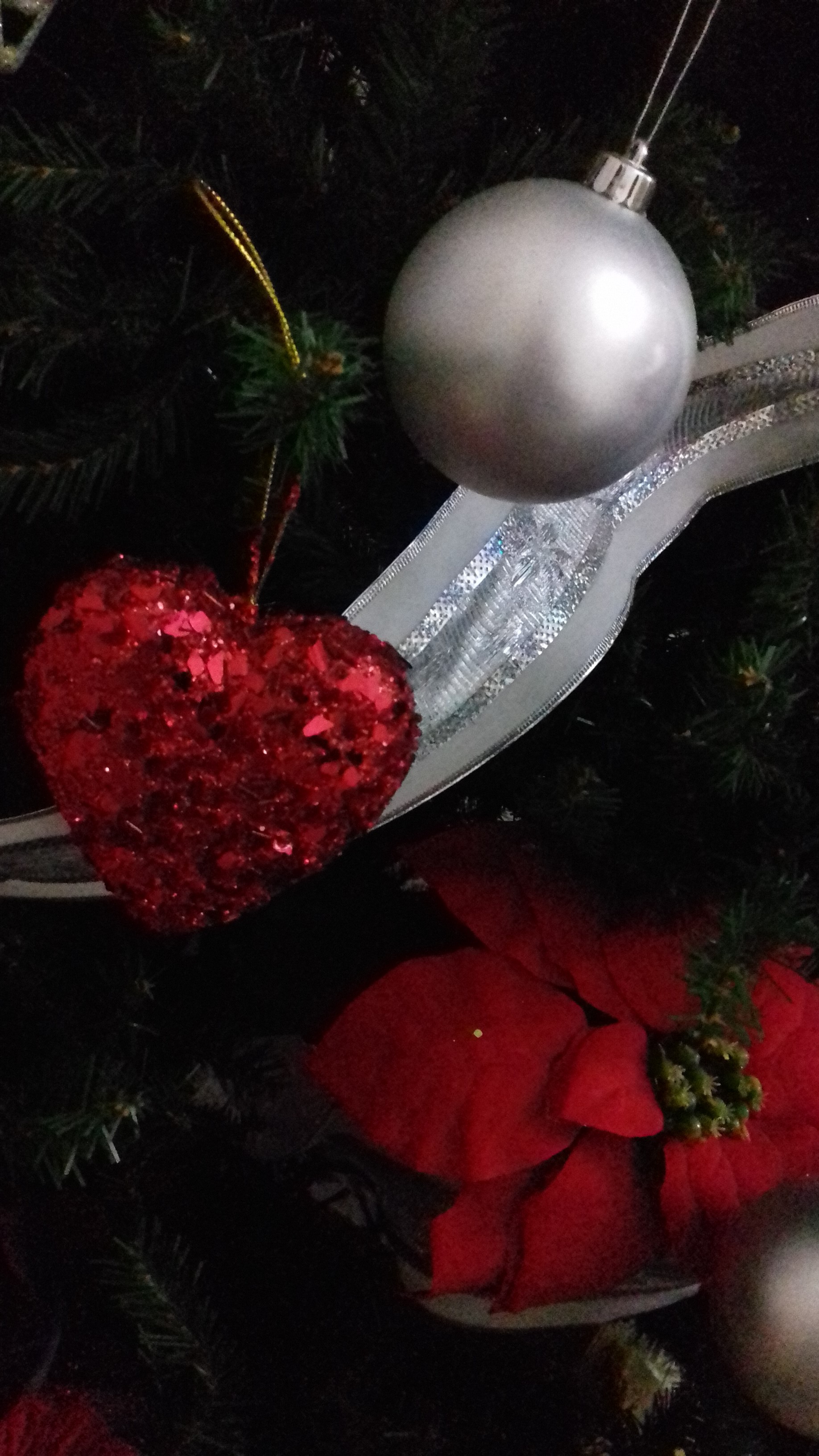 20211221_181645.jpg