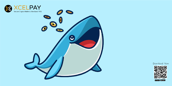 Whales hold the highest percentage of Ethereum (ETH) recorded in 3 years..png