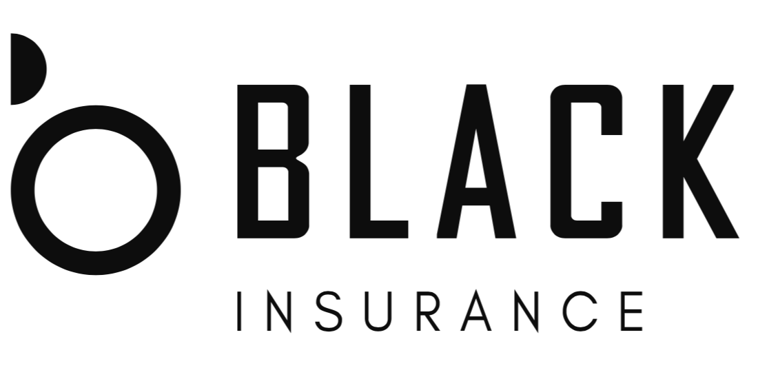 1527723637_Black insure Head 1100x550.png