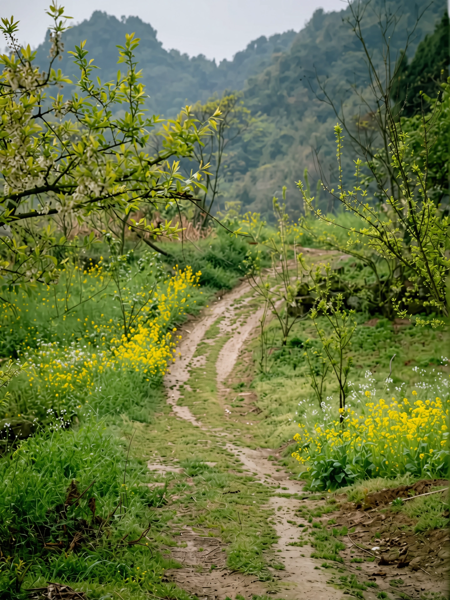 115.webp