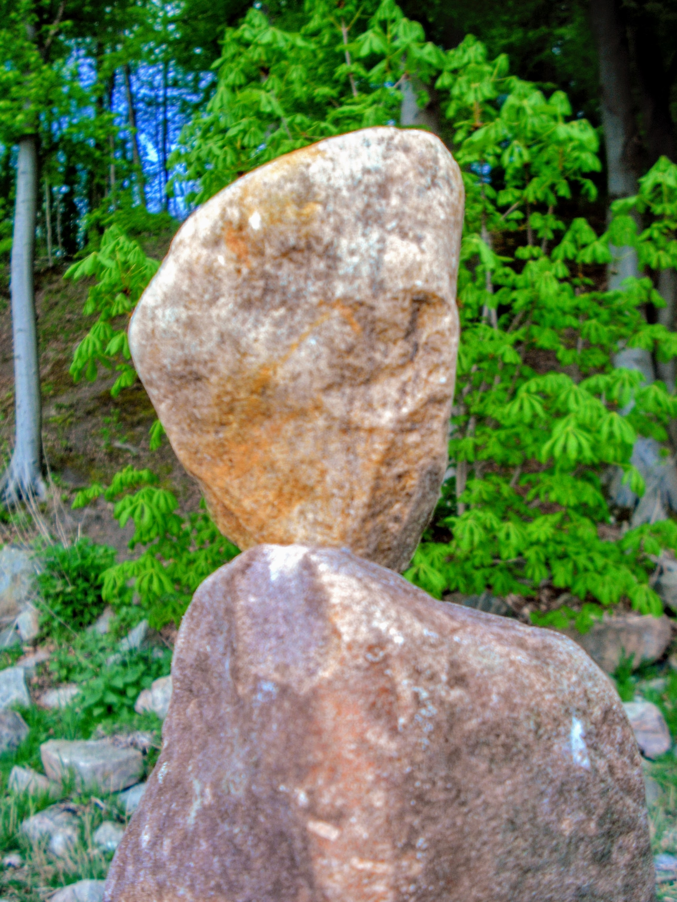 DSCF3909.jpg
