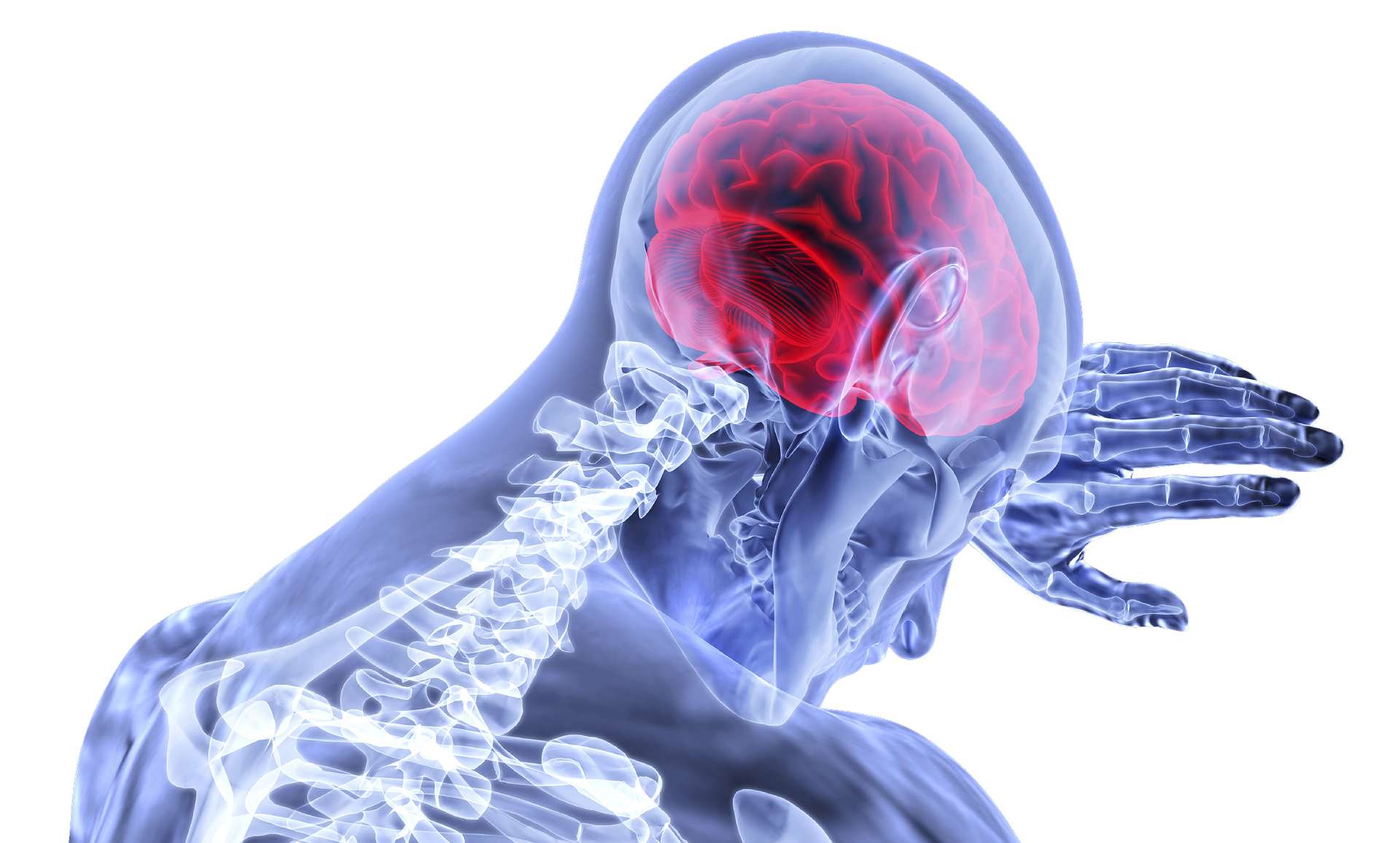 brain-inflammation-cbd.png
