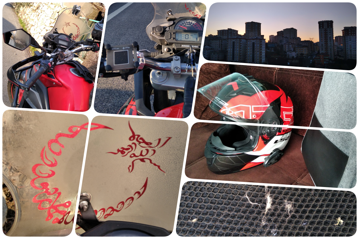 collage1.png