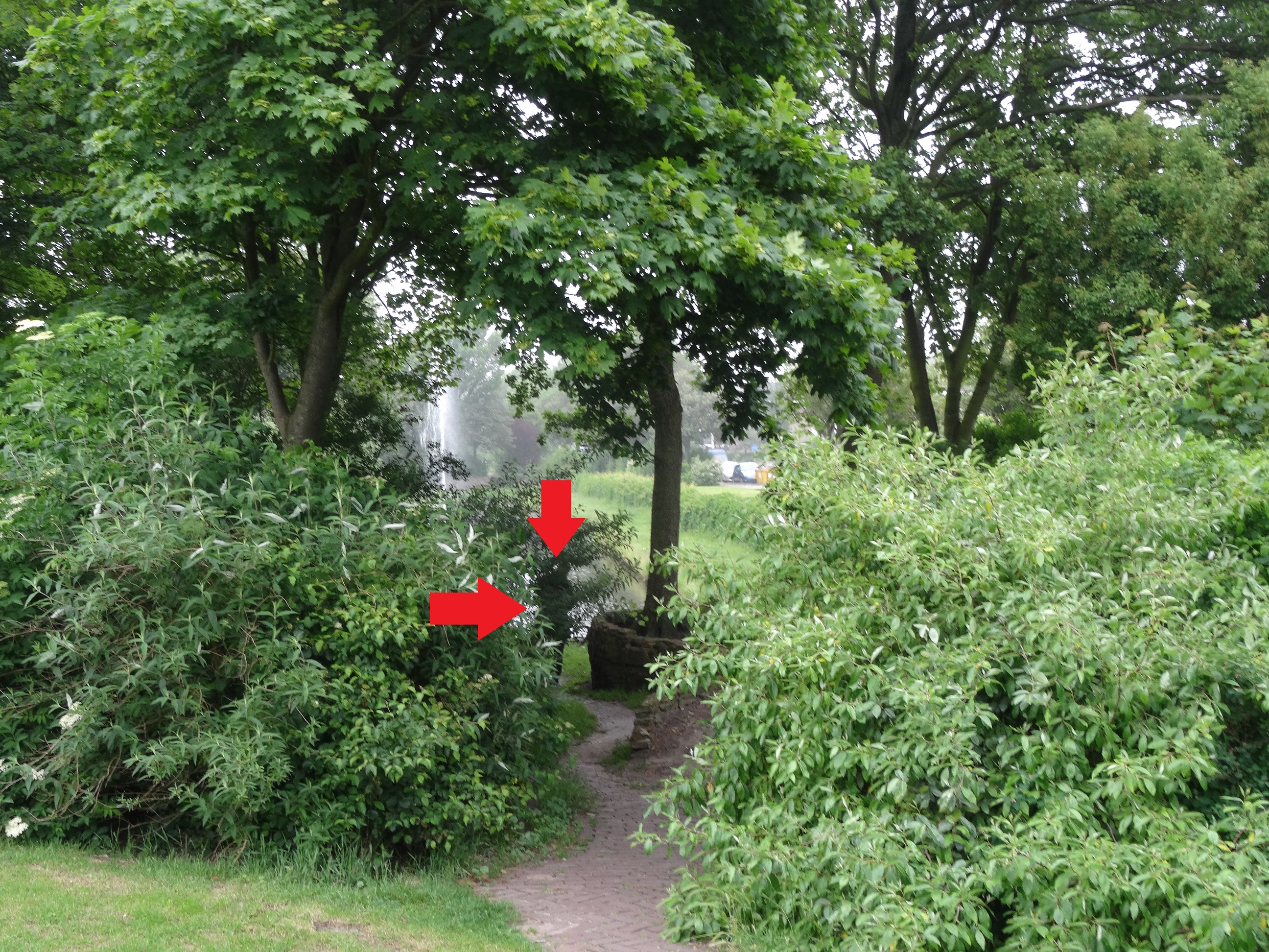 DSC02016.JPG
