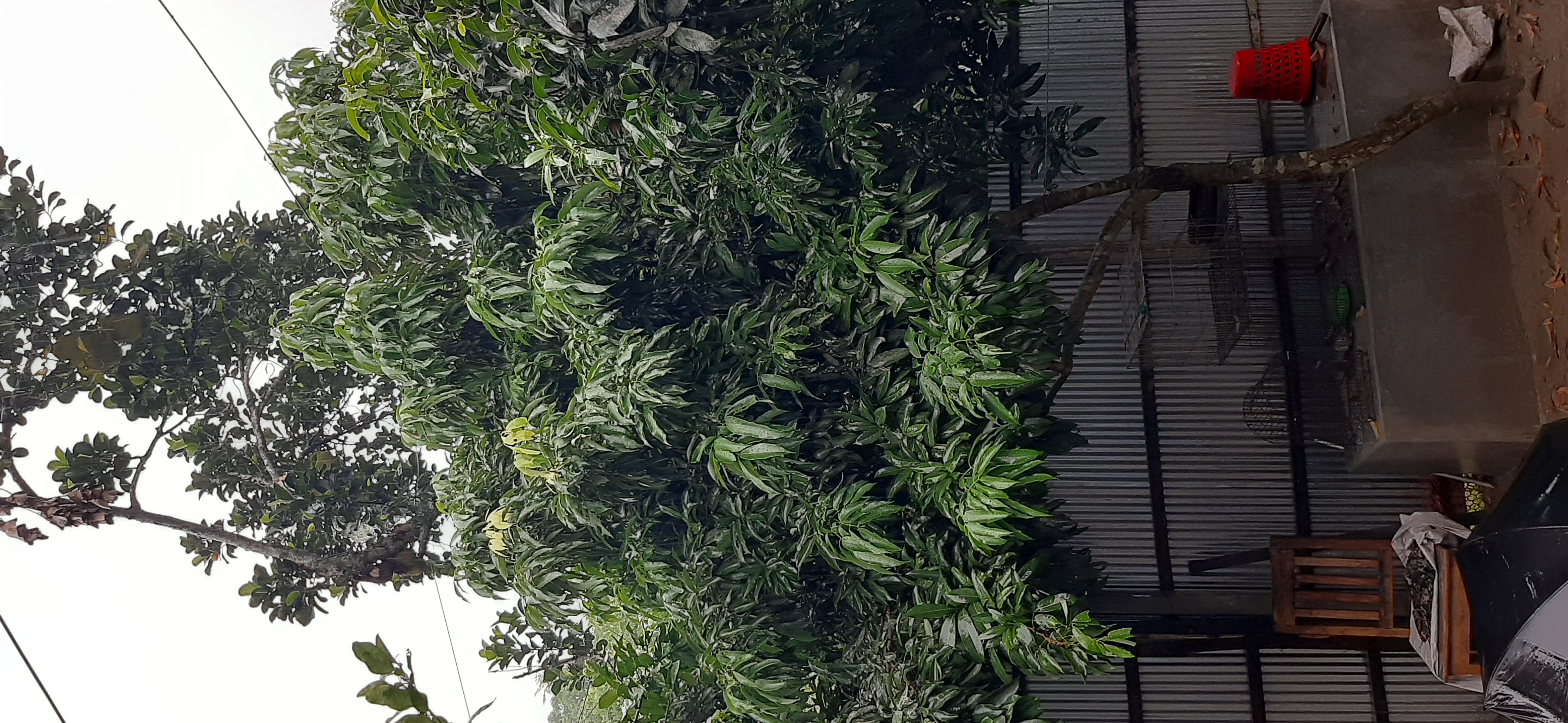 20230711_155135.jpg