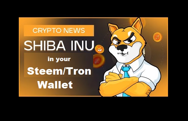 shiba1.jpg