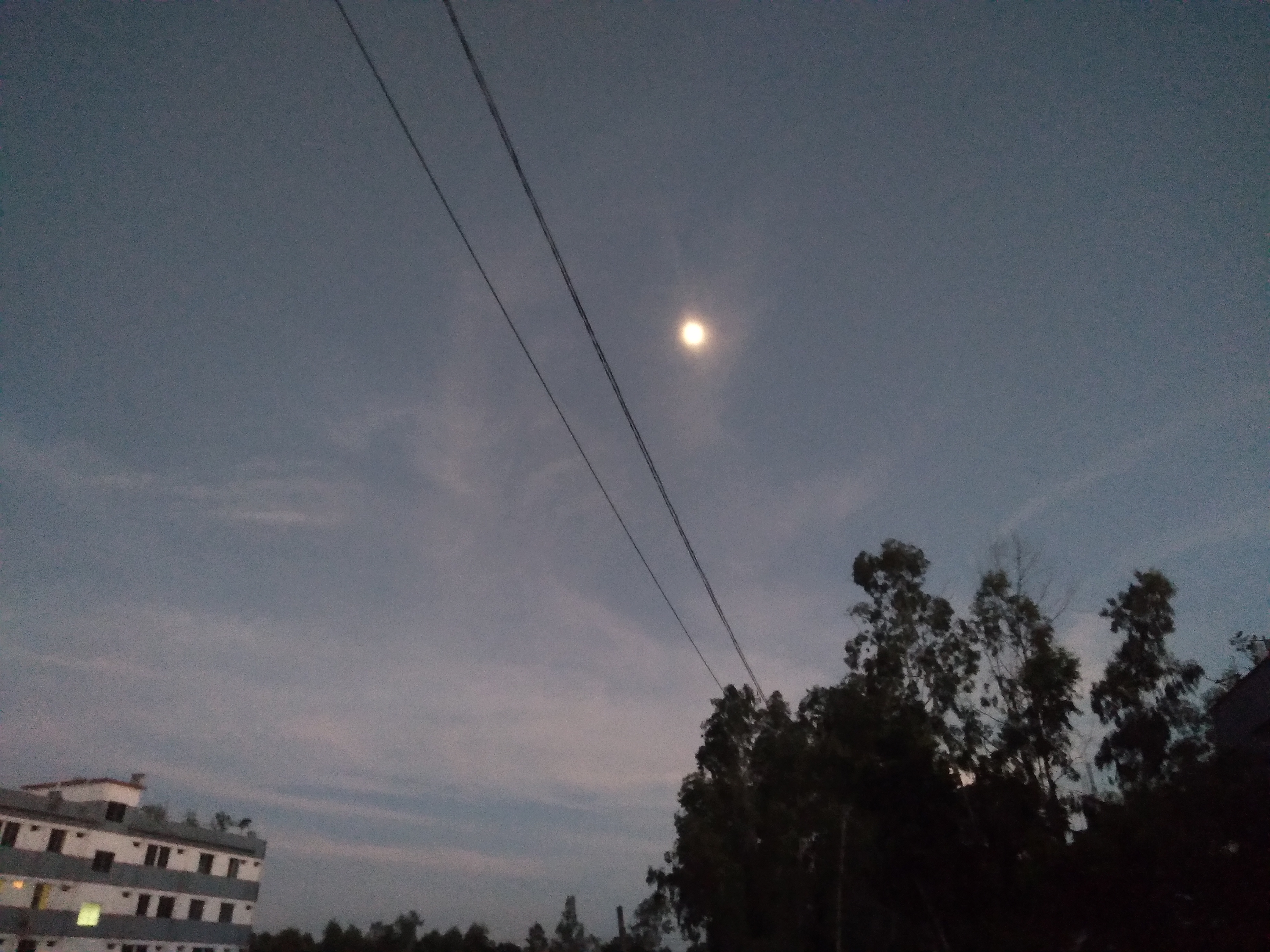 20250710_192609.jpg