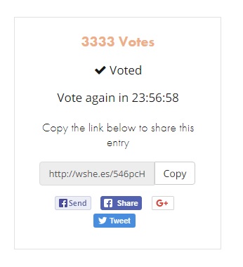 vote.jpg