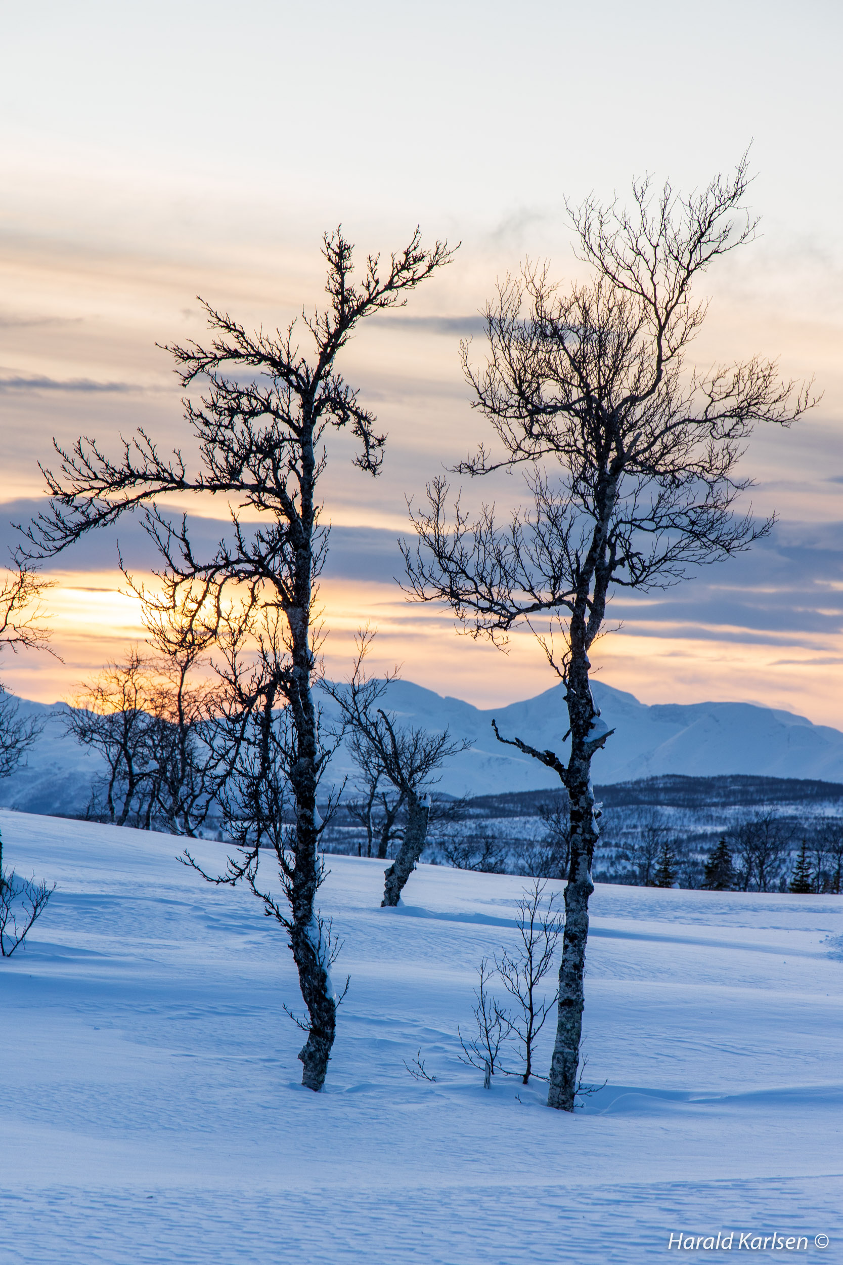 Maridalen-24.jpg