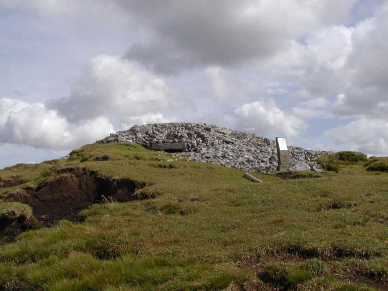cklpst1p-004.jpg