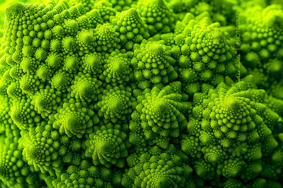 Ros Brocolli image copy.jpg