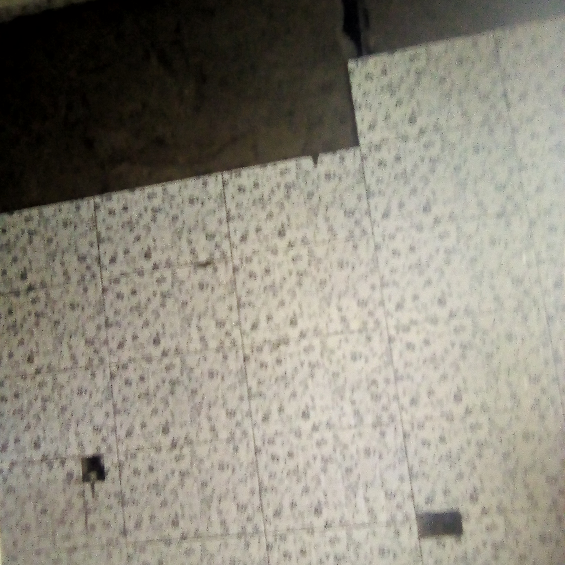 IMG_20210323_121208_9.jpg