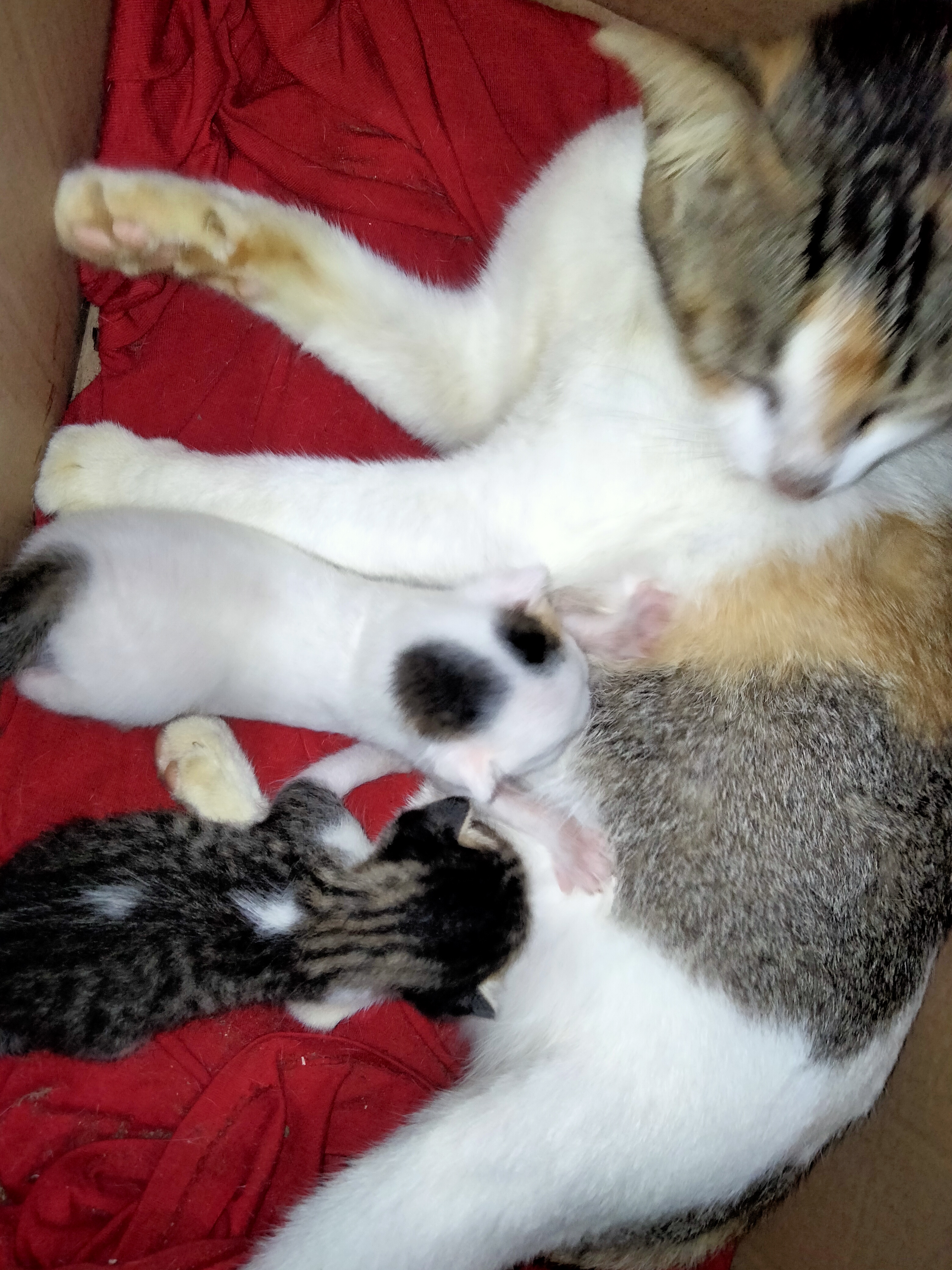 IMG20250125162632.jpg
