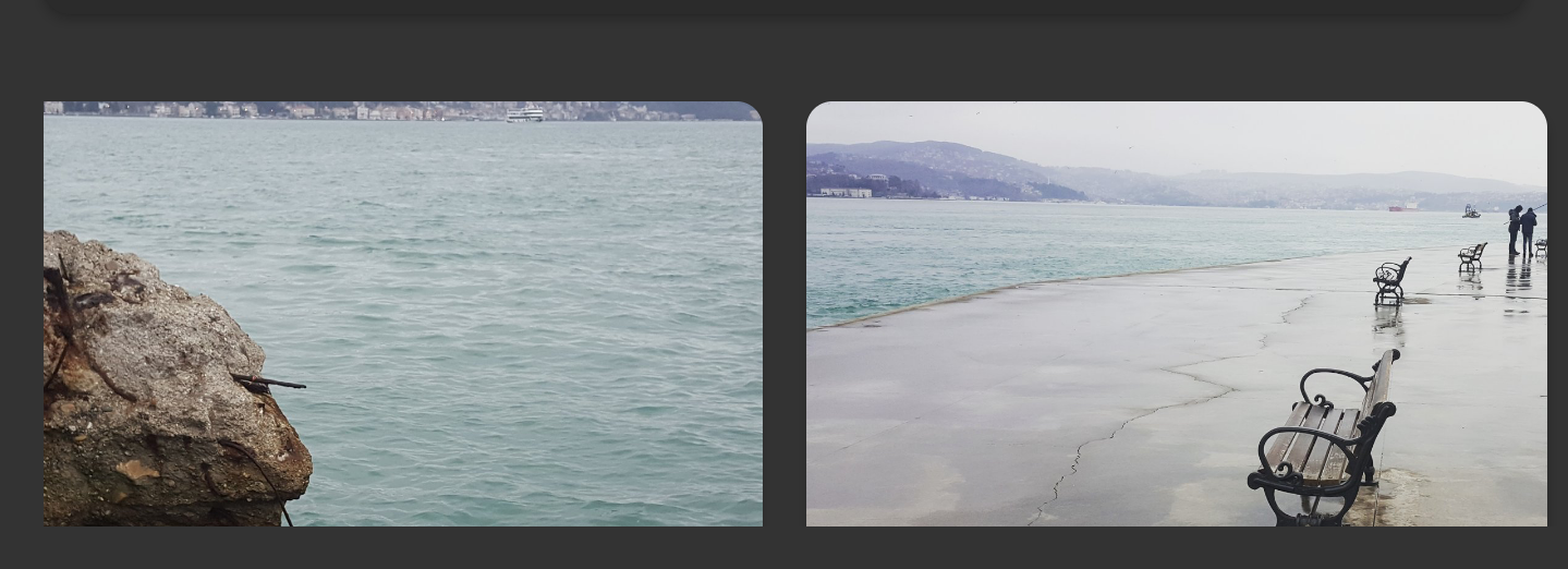 Capture+_2019-02-17-12-51-08.png
