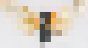 unknown (4).png
