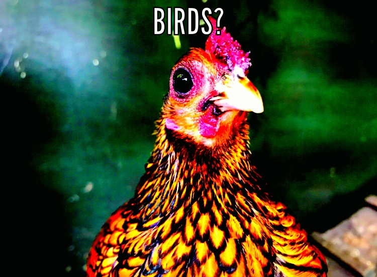34DE2D7B-6B58-452A-B27A-6104638BCB2B.jpeg