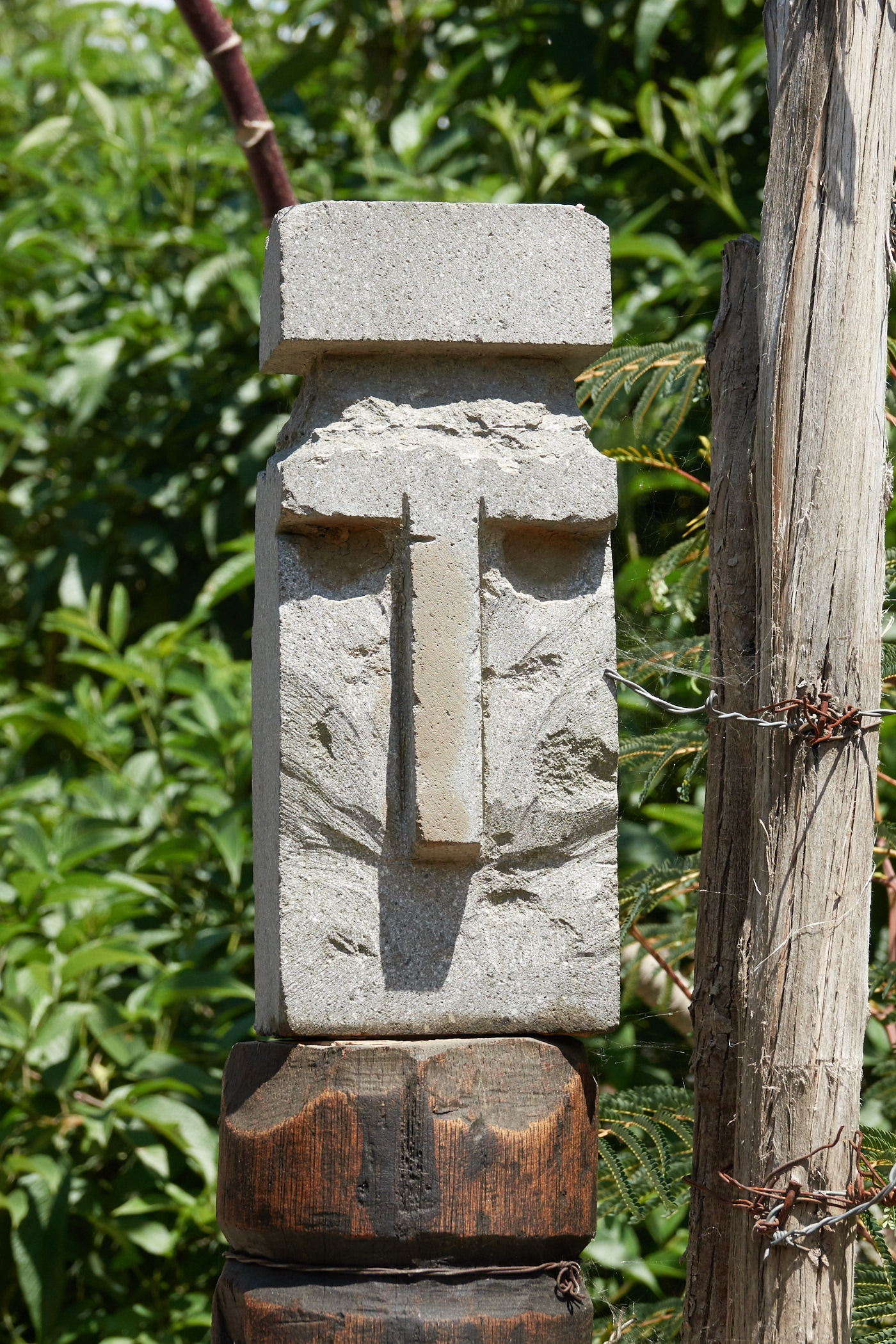 RX_02712.jpg