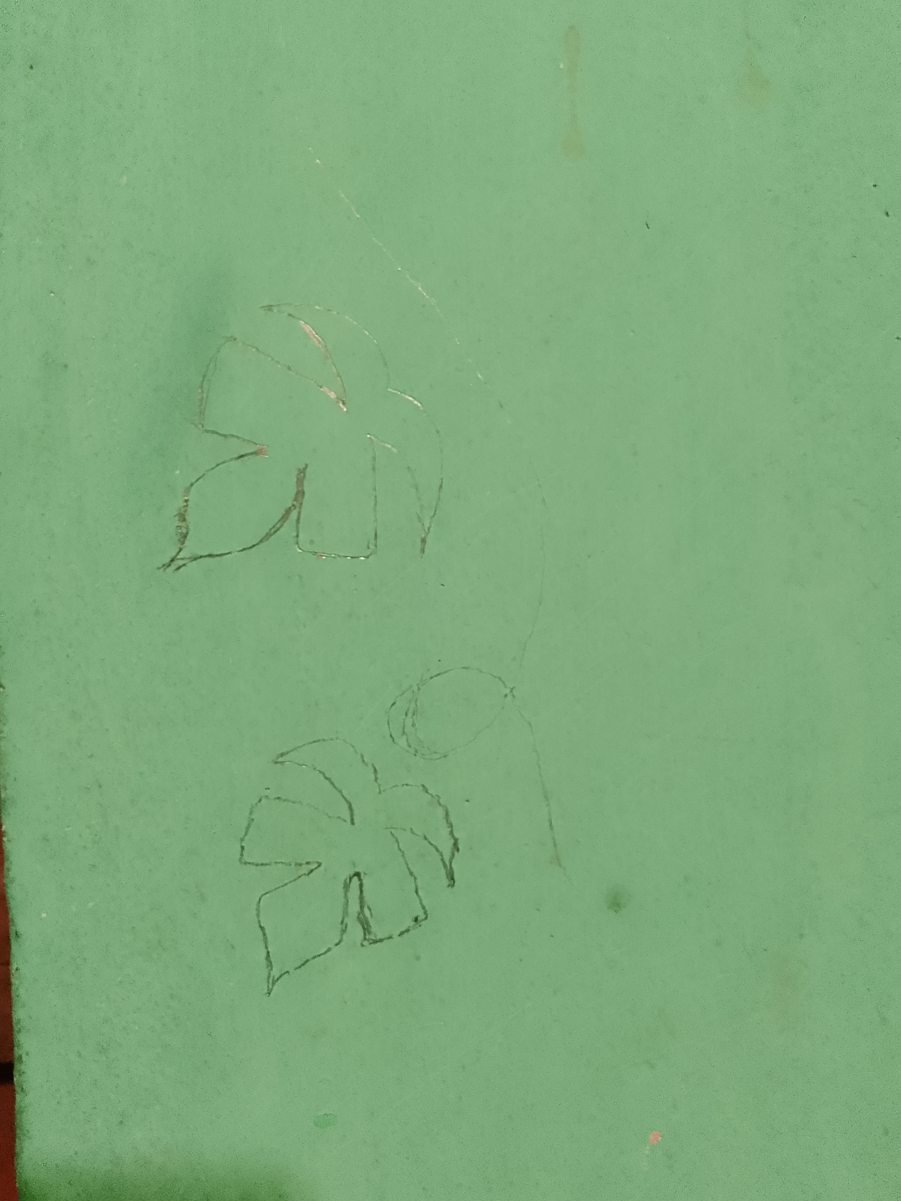 1000064528.jpg