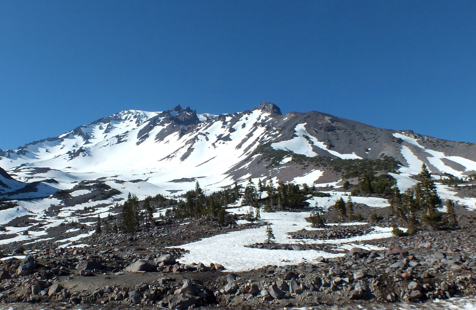 1130-Shasta2.jpg