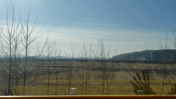 ezgif.com-video-to-gif (1).gif