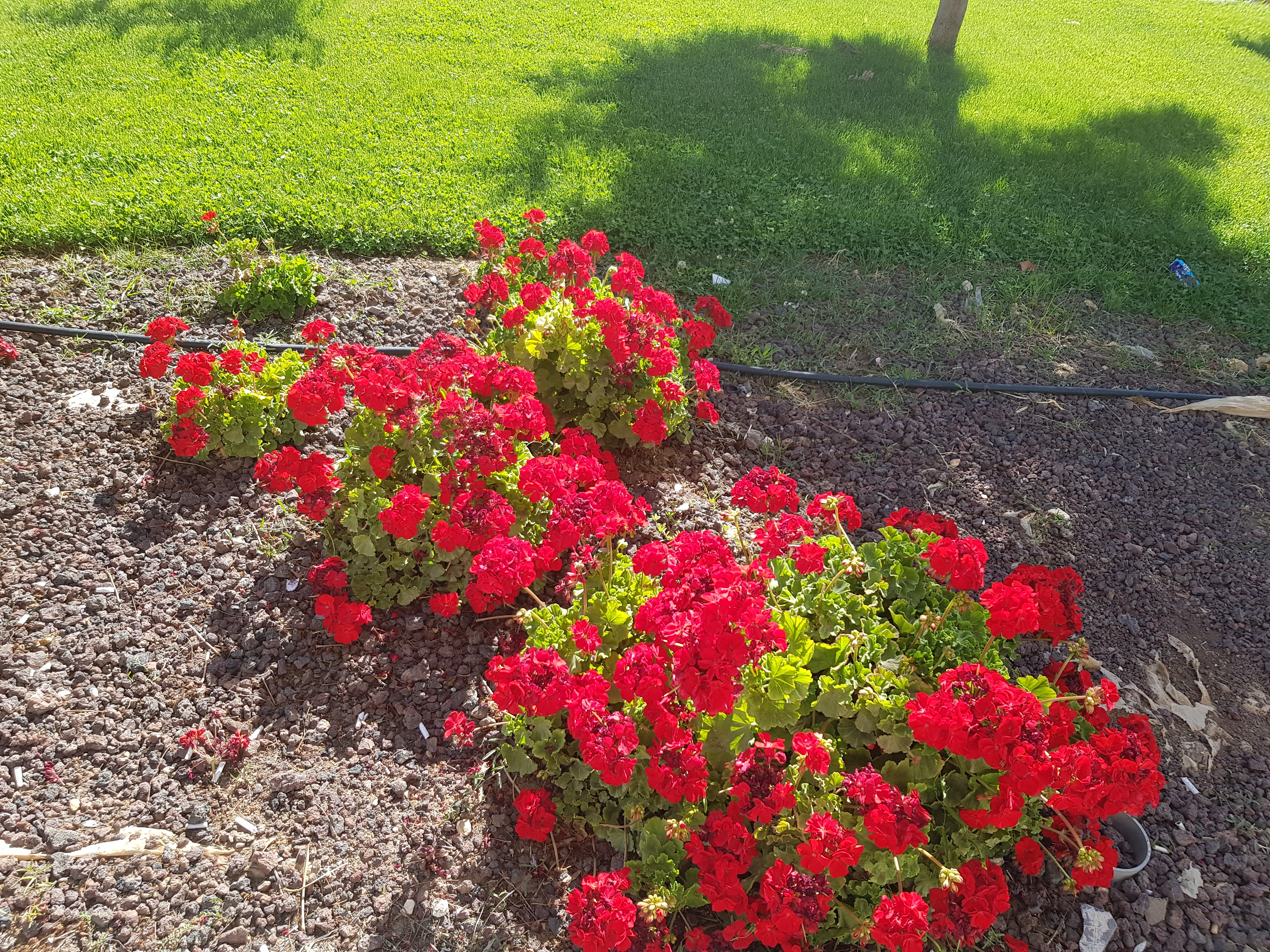 20180701_160729.jpg