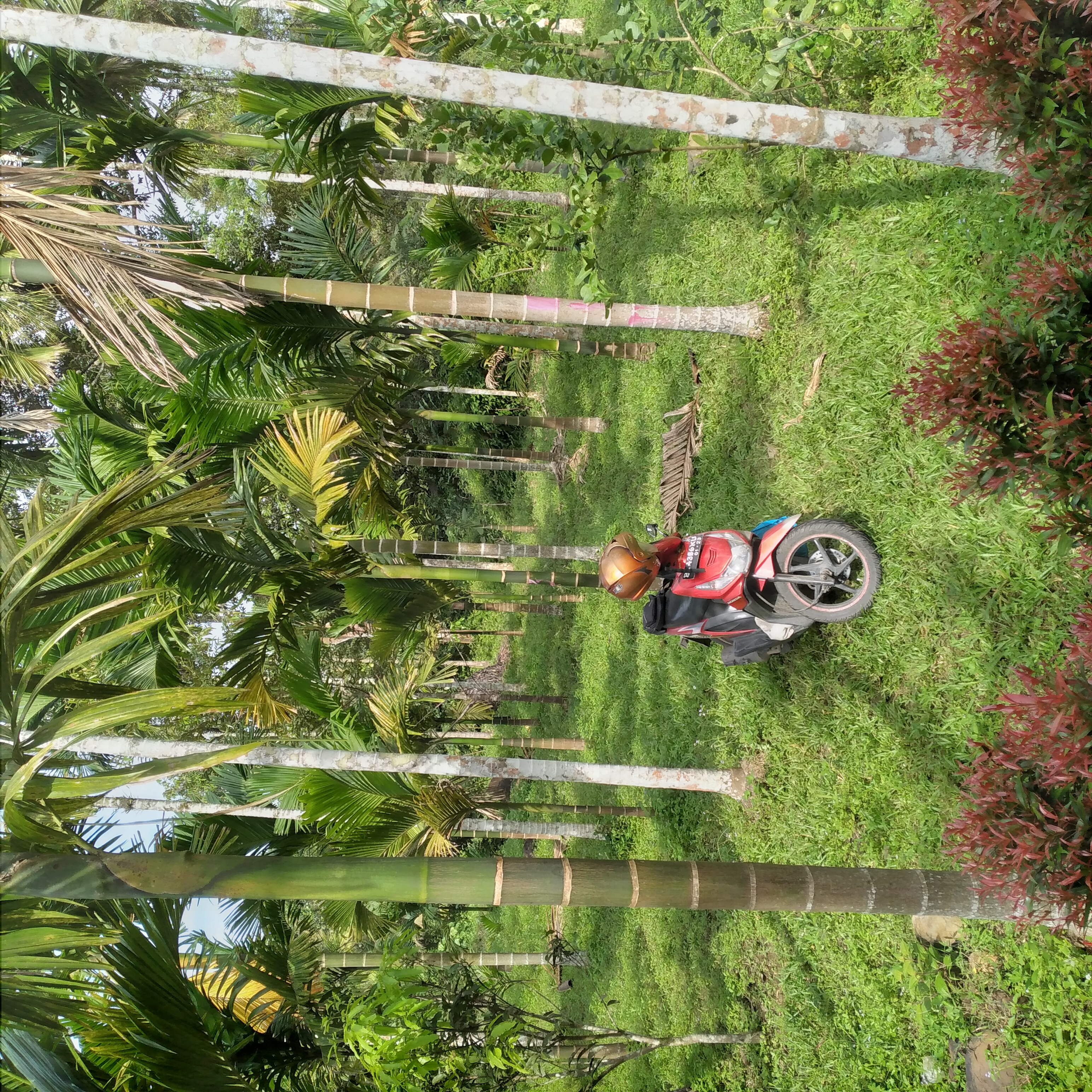20221225_100750.jpg