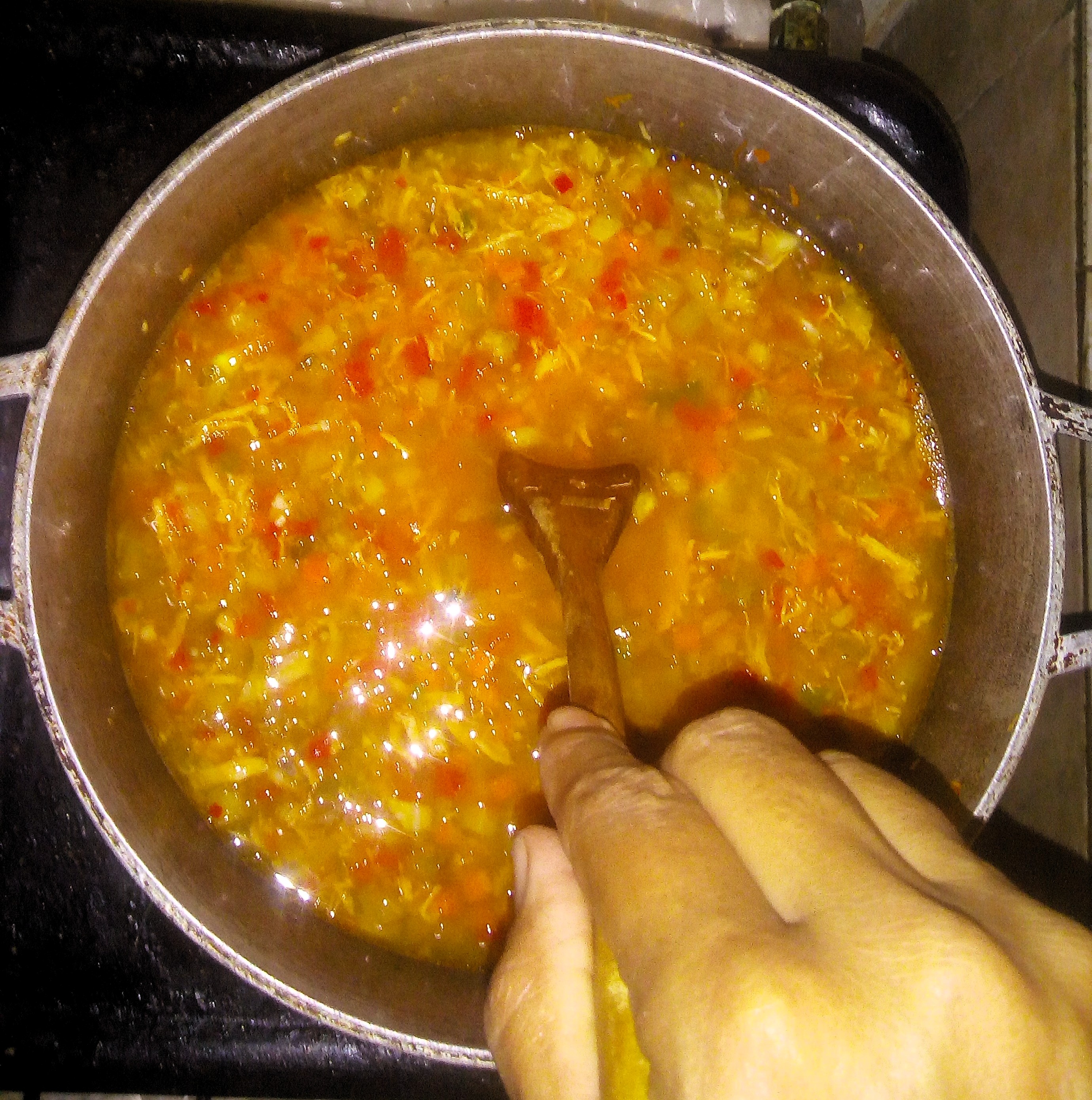 Pollo 5.jpg