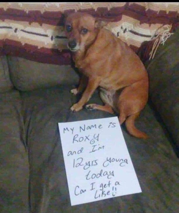 main-qimg-218be6983b3e5b781491734d4e006278-lq.jpeg