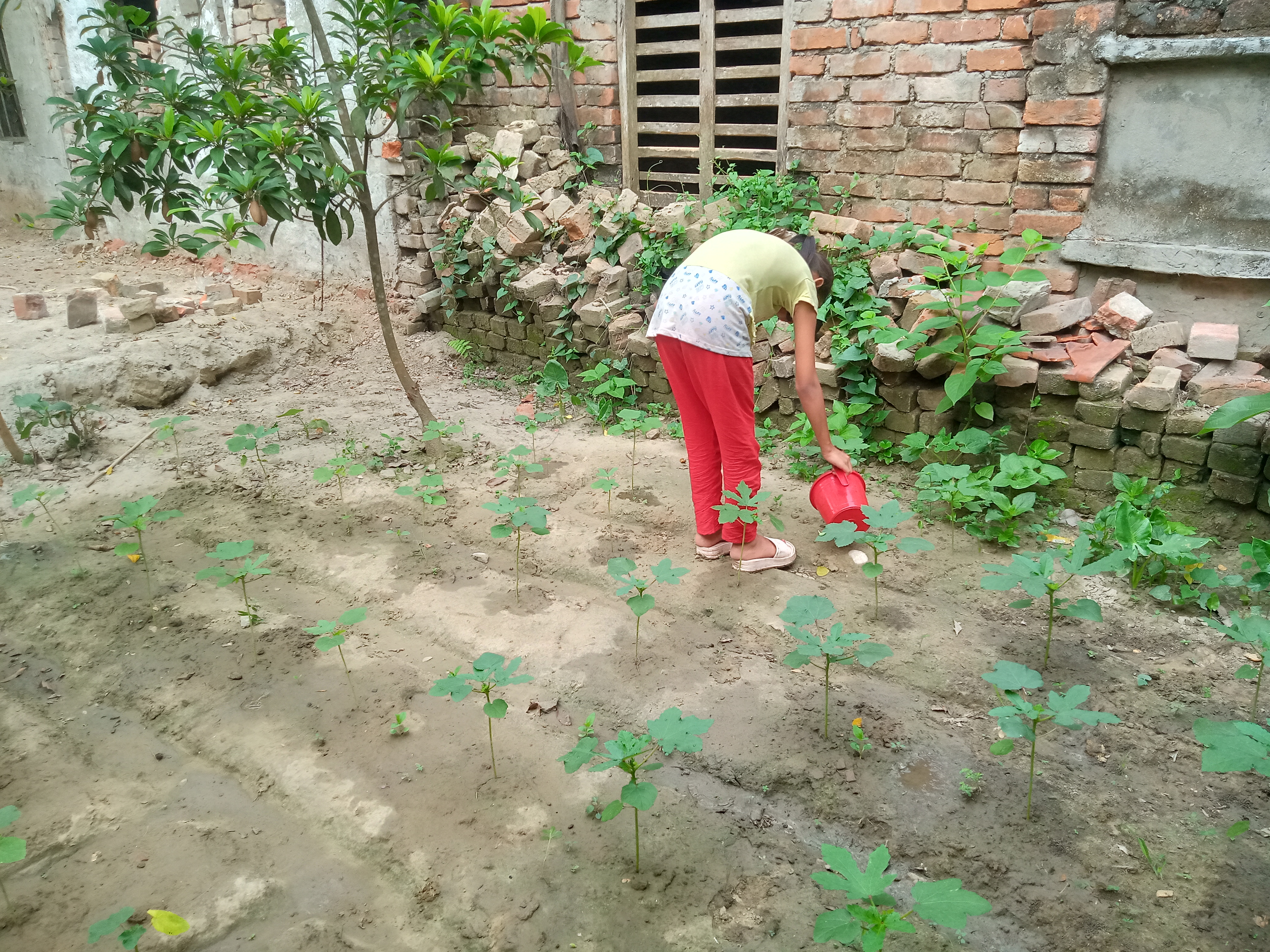 IMG20260523082036.jpg