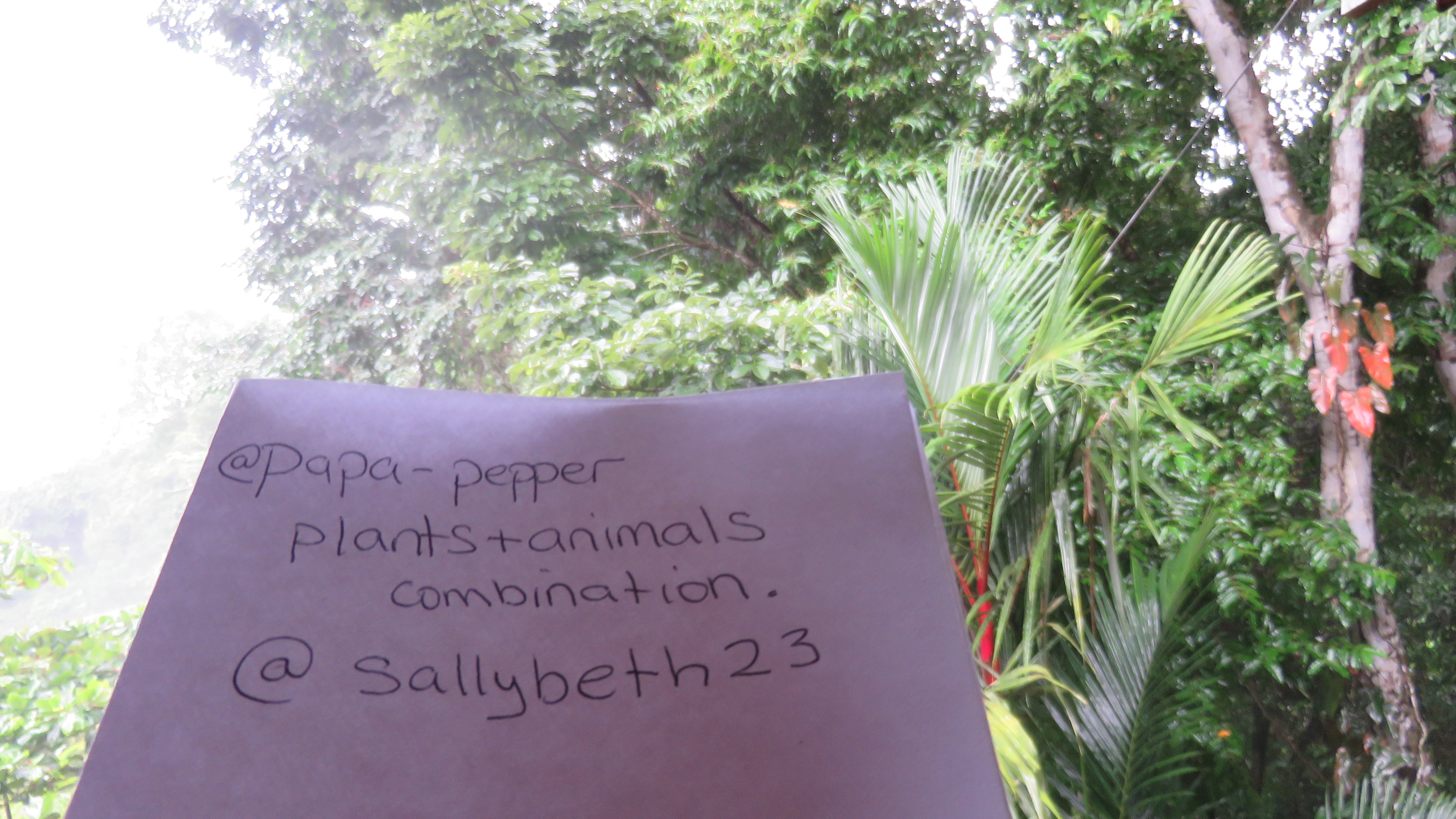 D2601009-35E6-414B-AB9B-4110282F02F7.jpeg