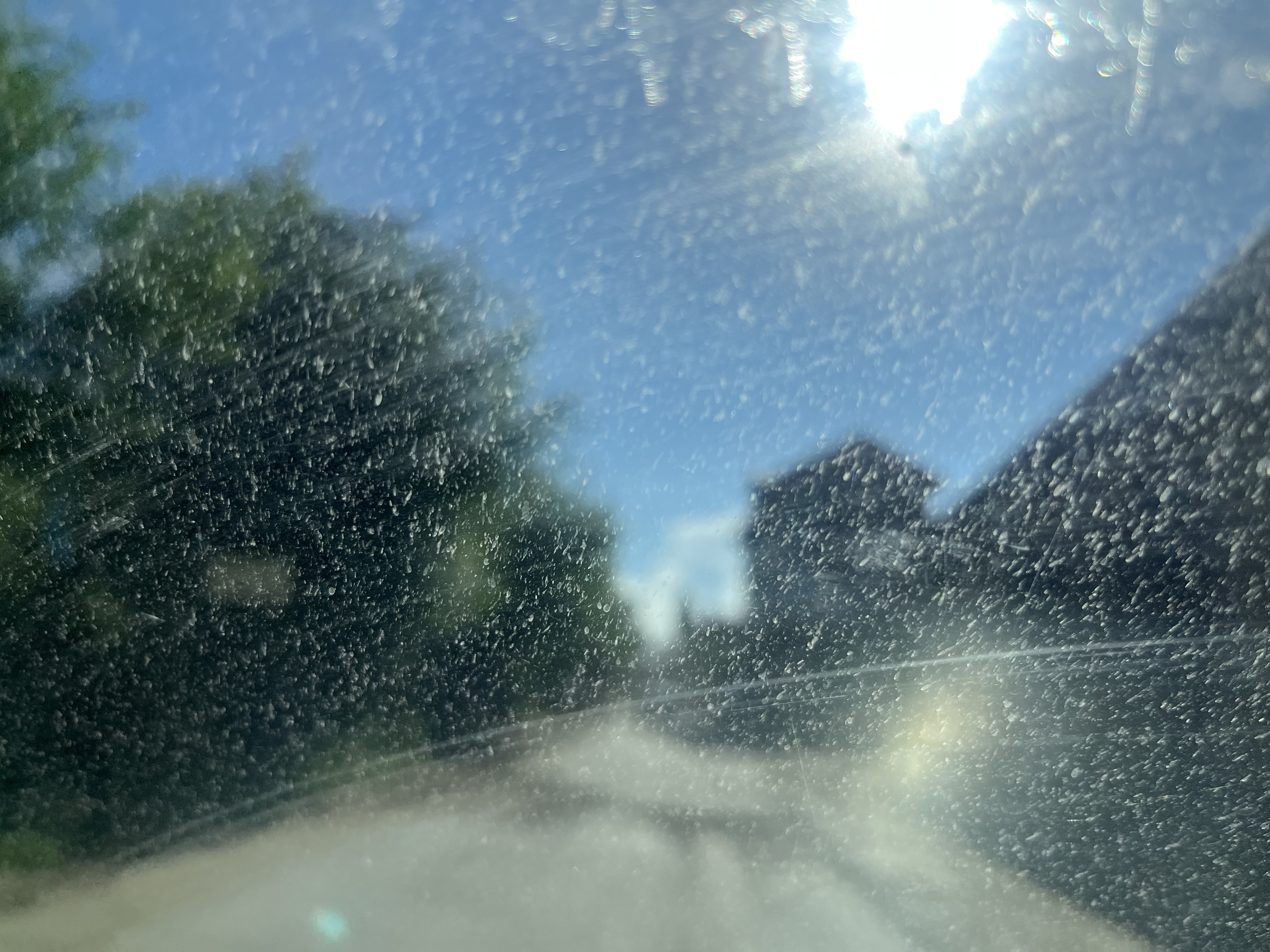 IMG_1576.jpeg