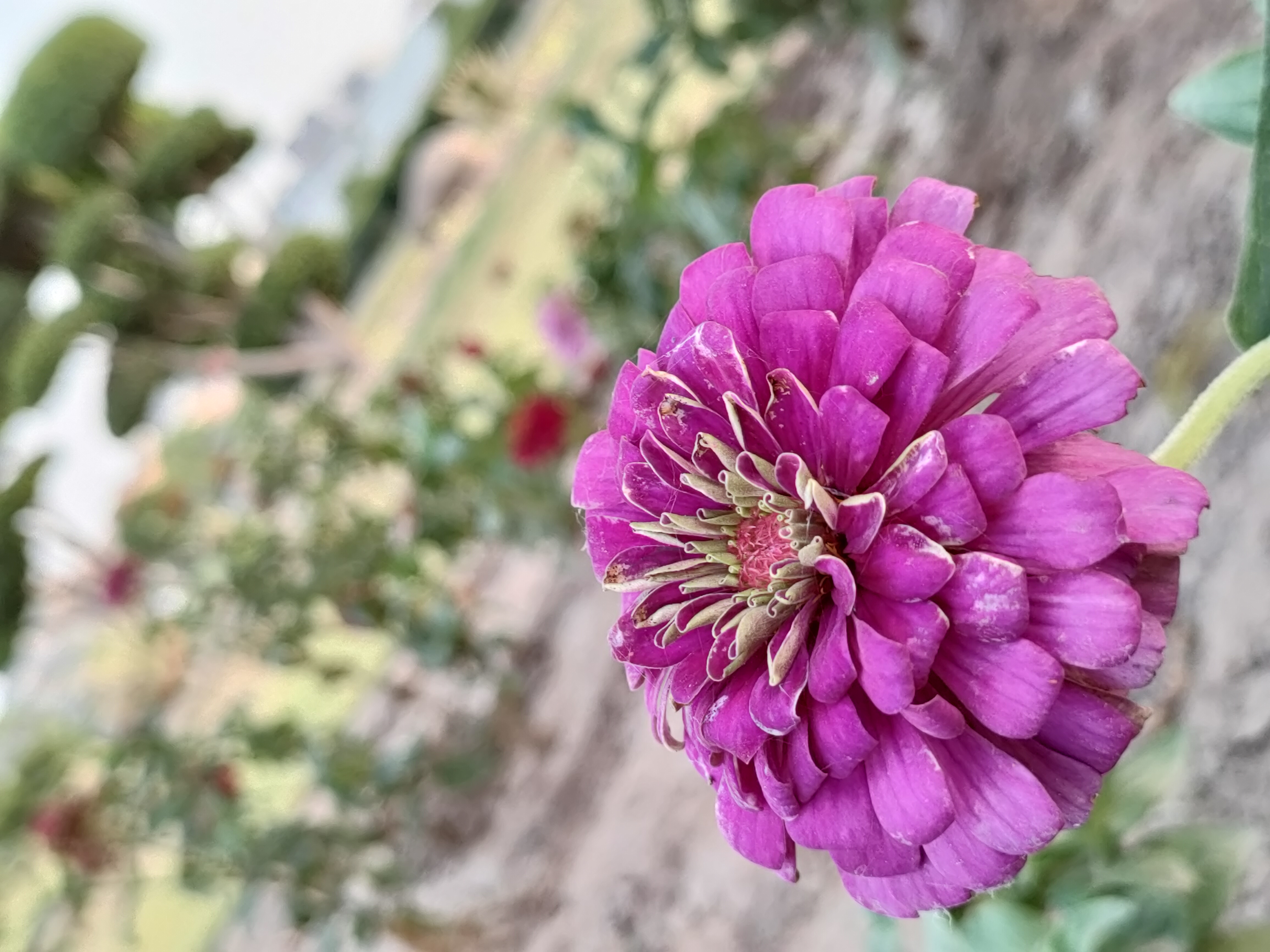 IMG20210607182308.jpg