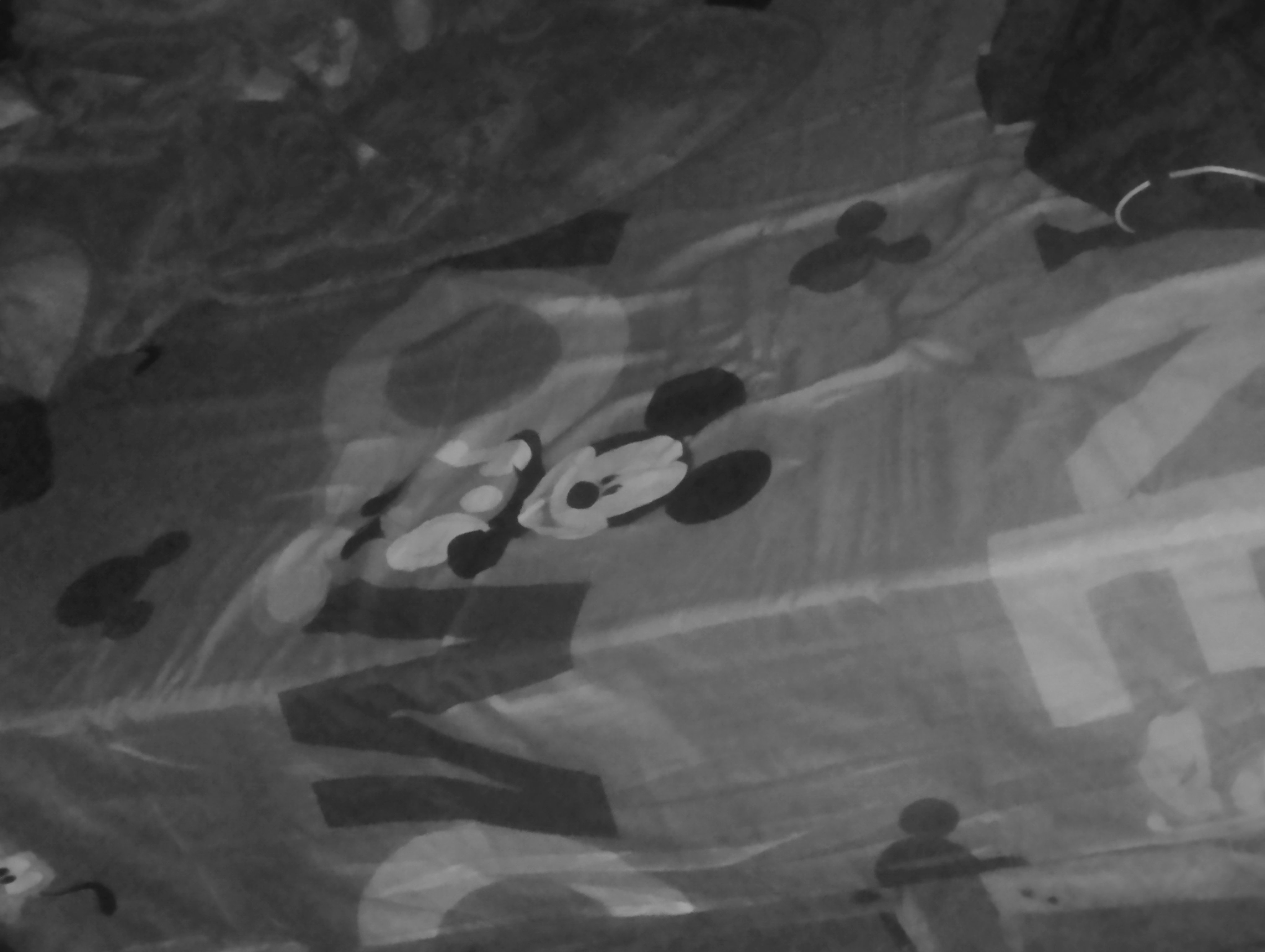 641020.jpg