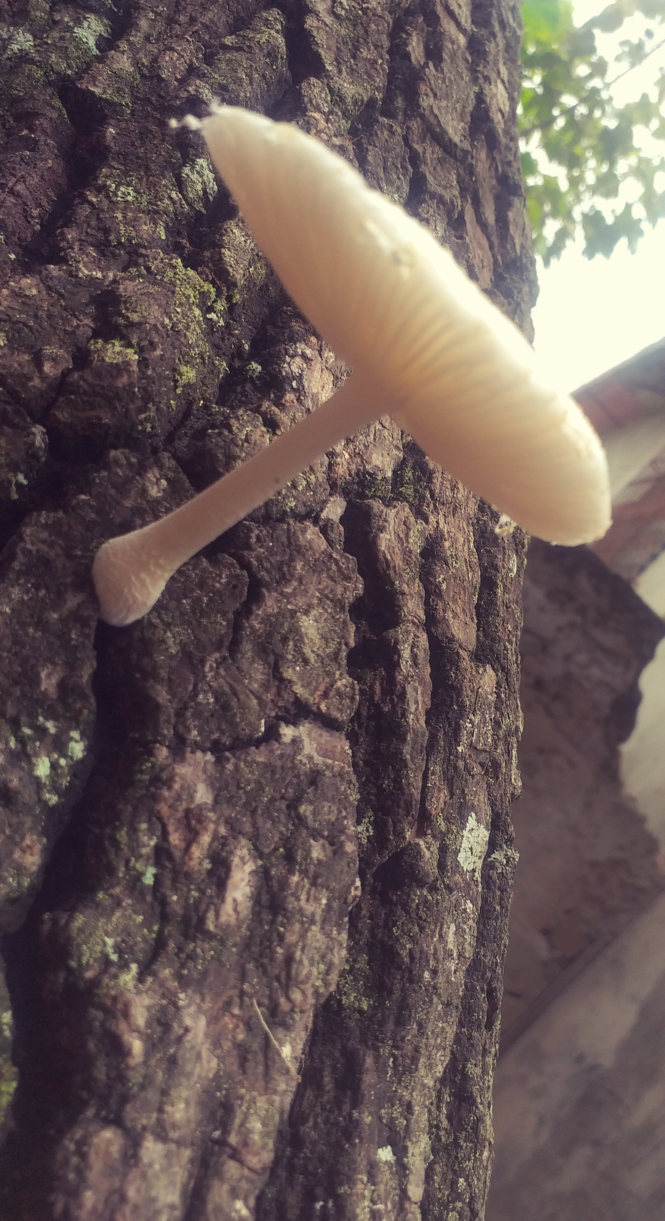 20220614_105152.jpg