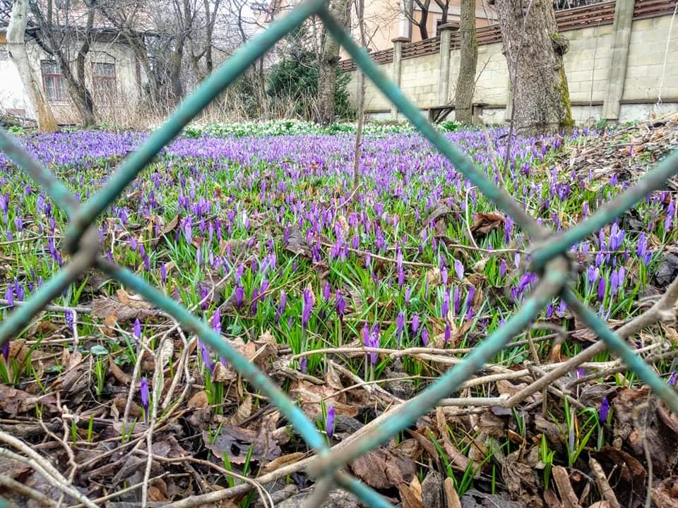received_3504206072987760.jpeg