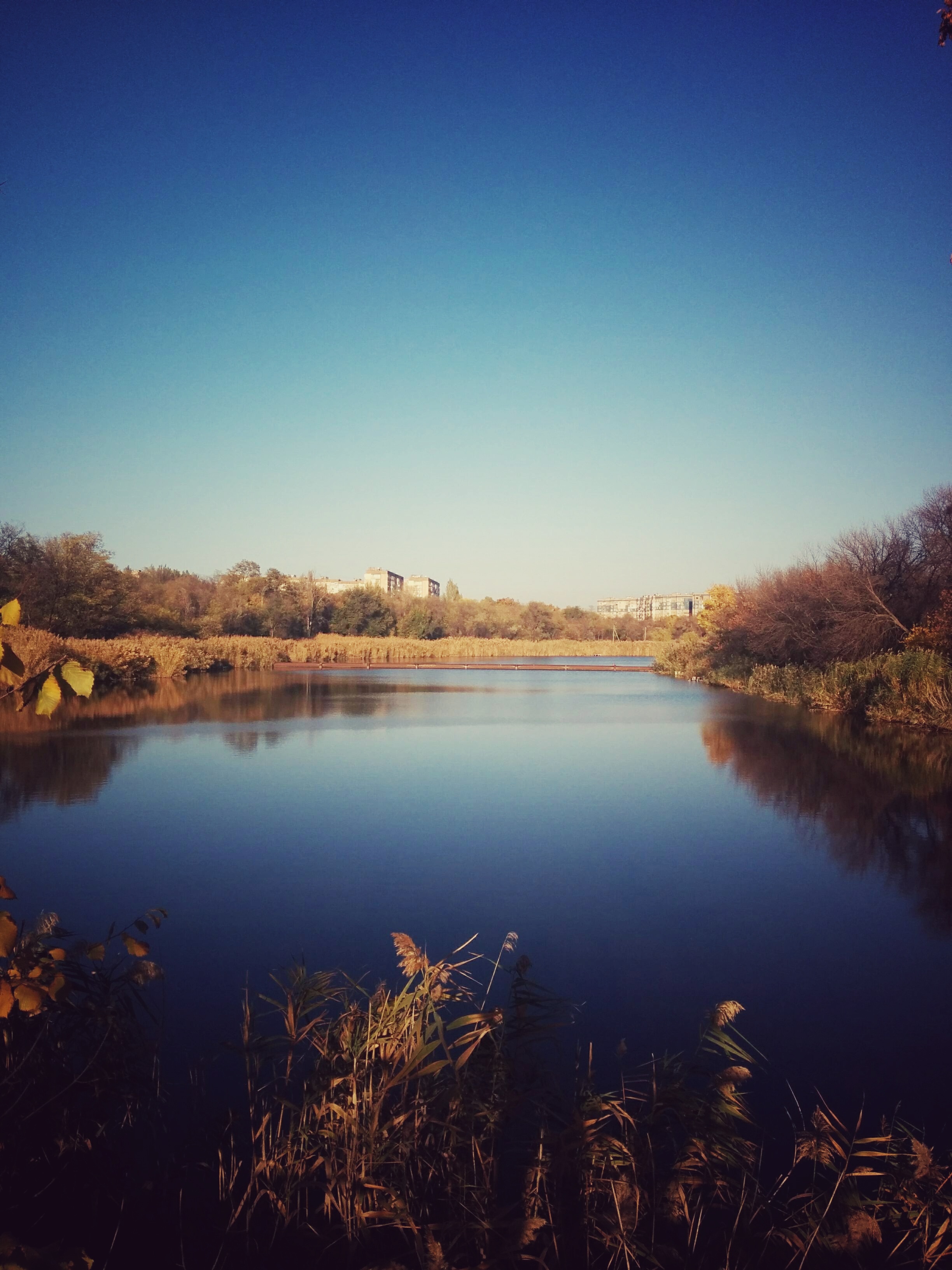 IMG_20201108_142307-01.jpeg