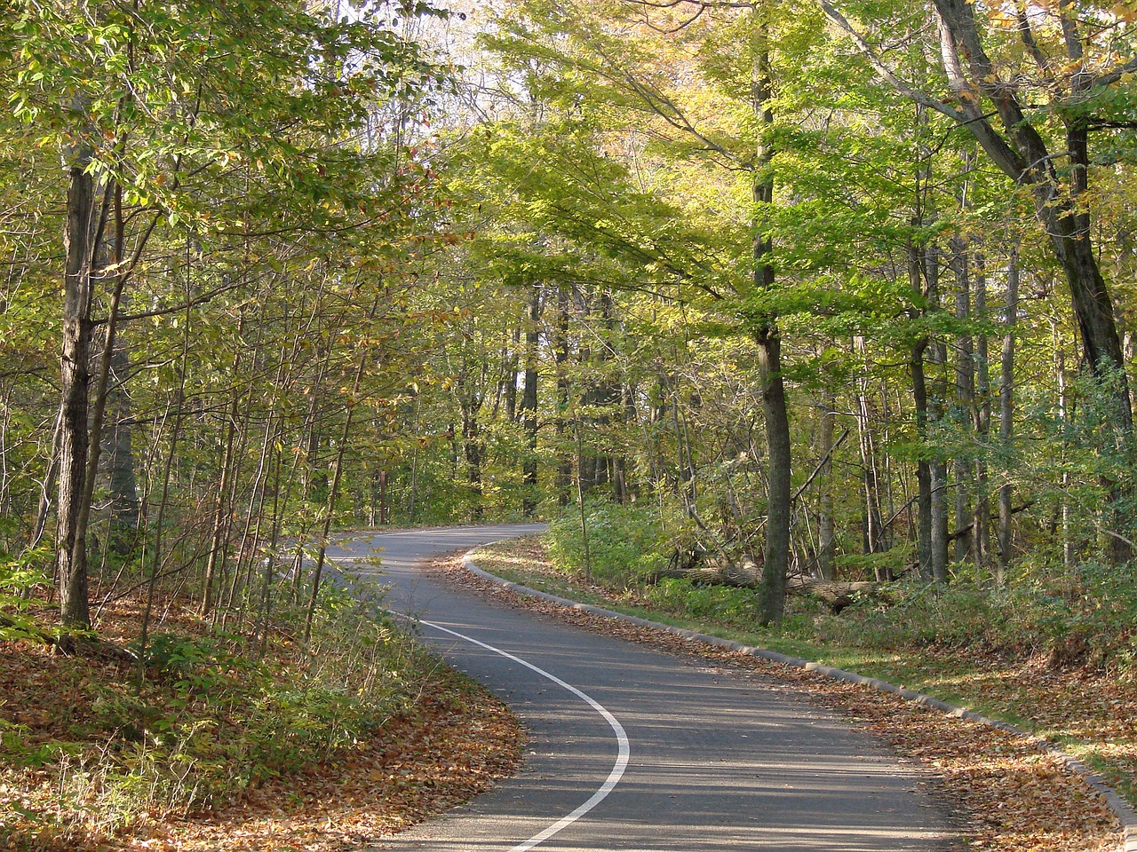 winding-road-71367_1280.jpg