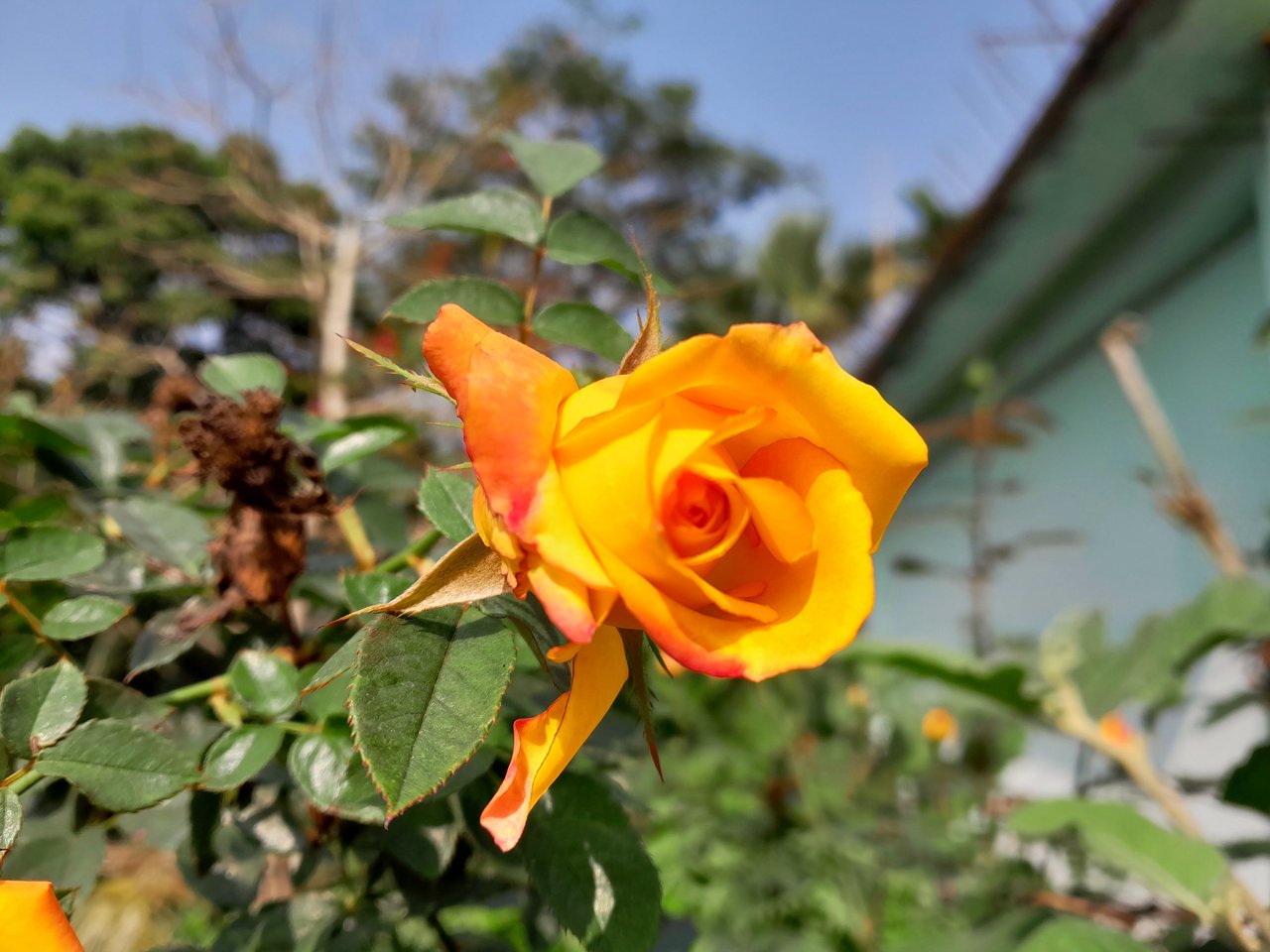 3jpR3paJ37V8JxyWvtbhvcm5k3roJwHBR4WTALx7XaoRovZKmgyxFbL8dvTMCb2FuYtZvLhtg6FVEVhJZXhjbDgcJFdnEA7bB455eHoorBSfgpdv5Mi8NgEQ6oinBLWP6mcu4.jpeg