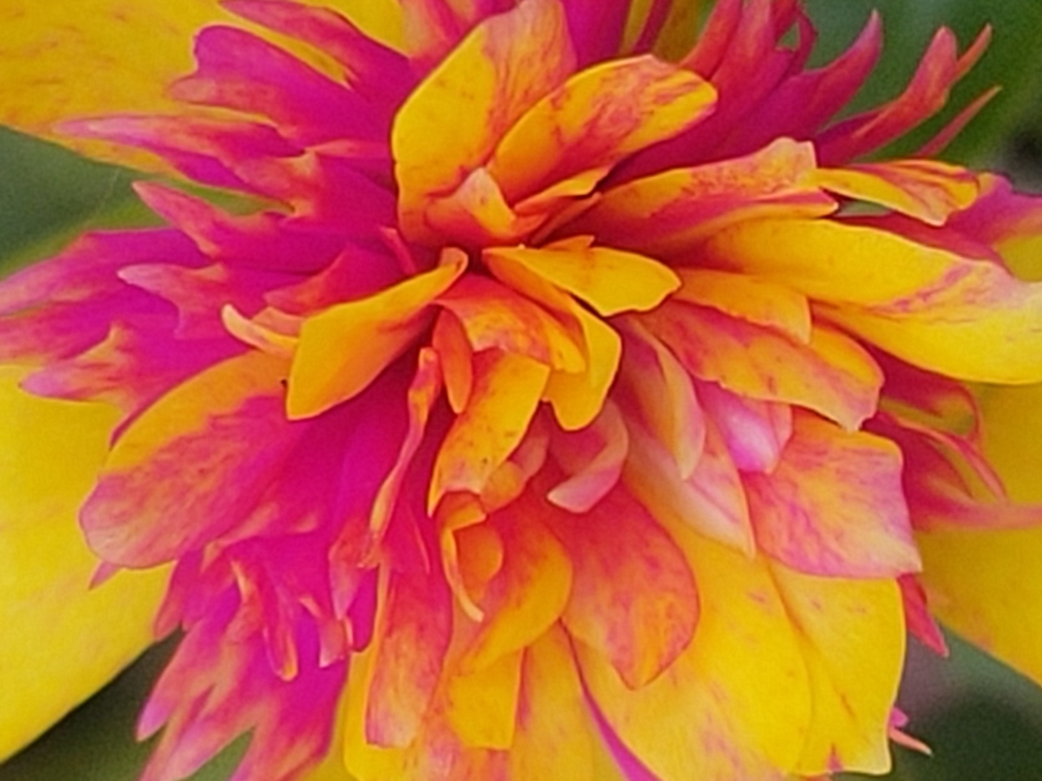IMG_20201010_181254.jpg
