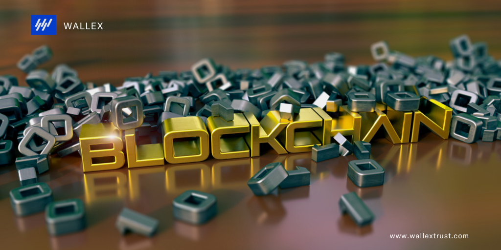 Wallex draft 2 (19).png