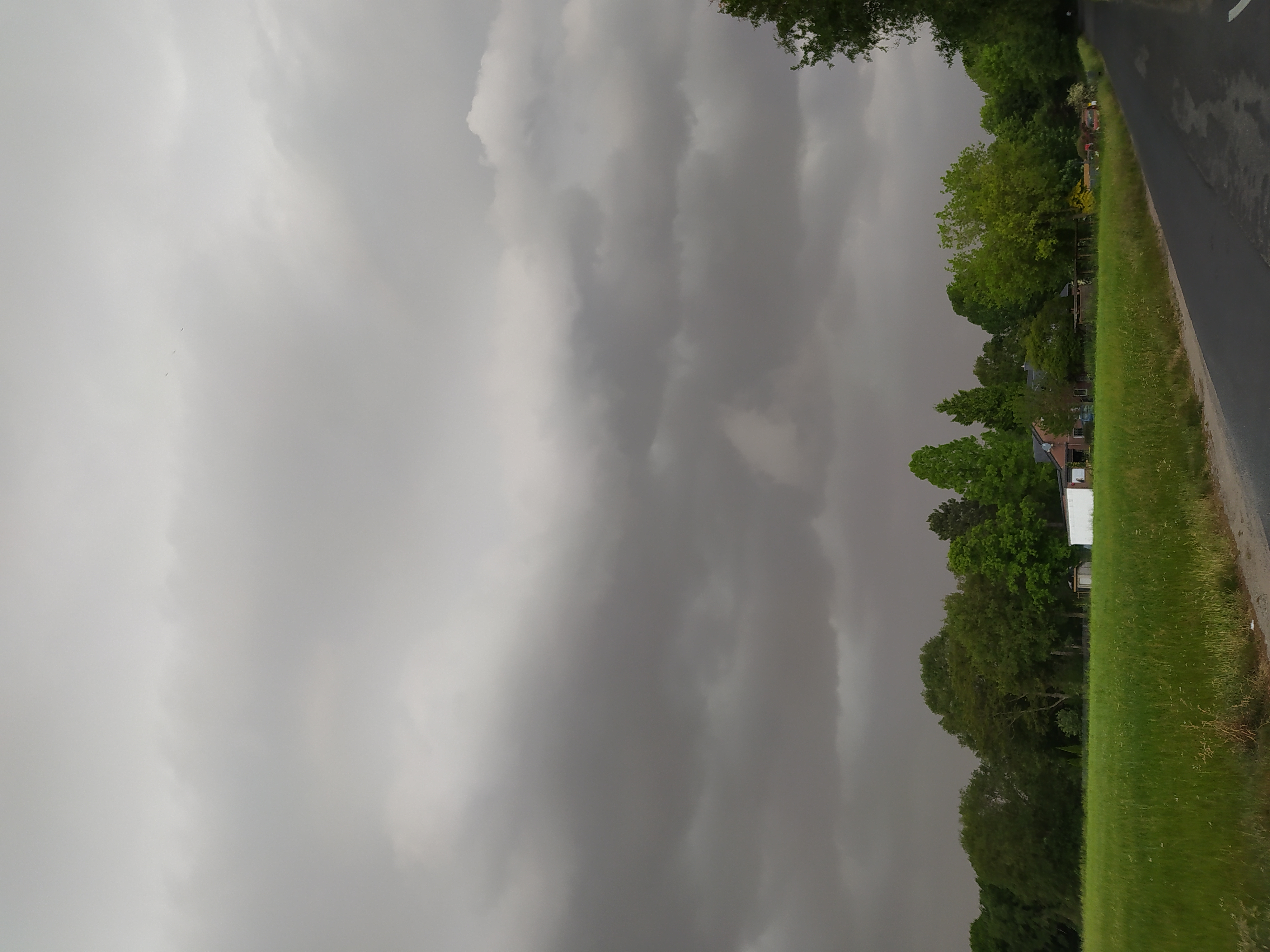 IMG_20220519_145505.jpg