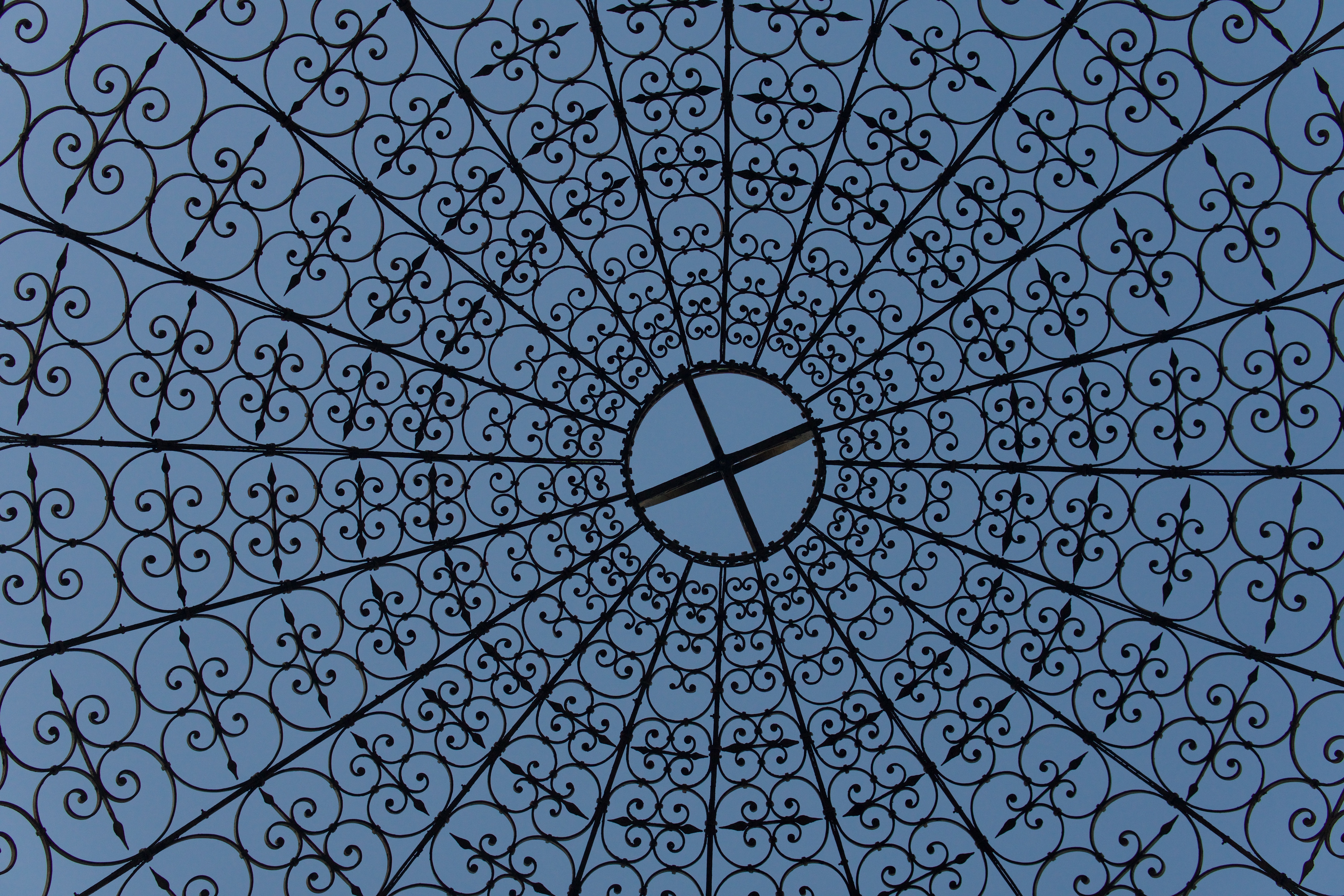 ojas texturas 5.jpg