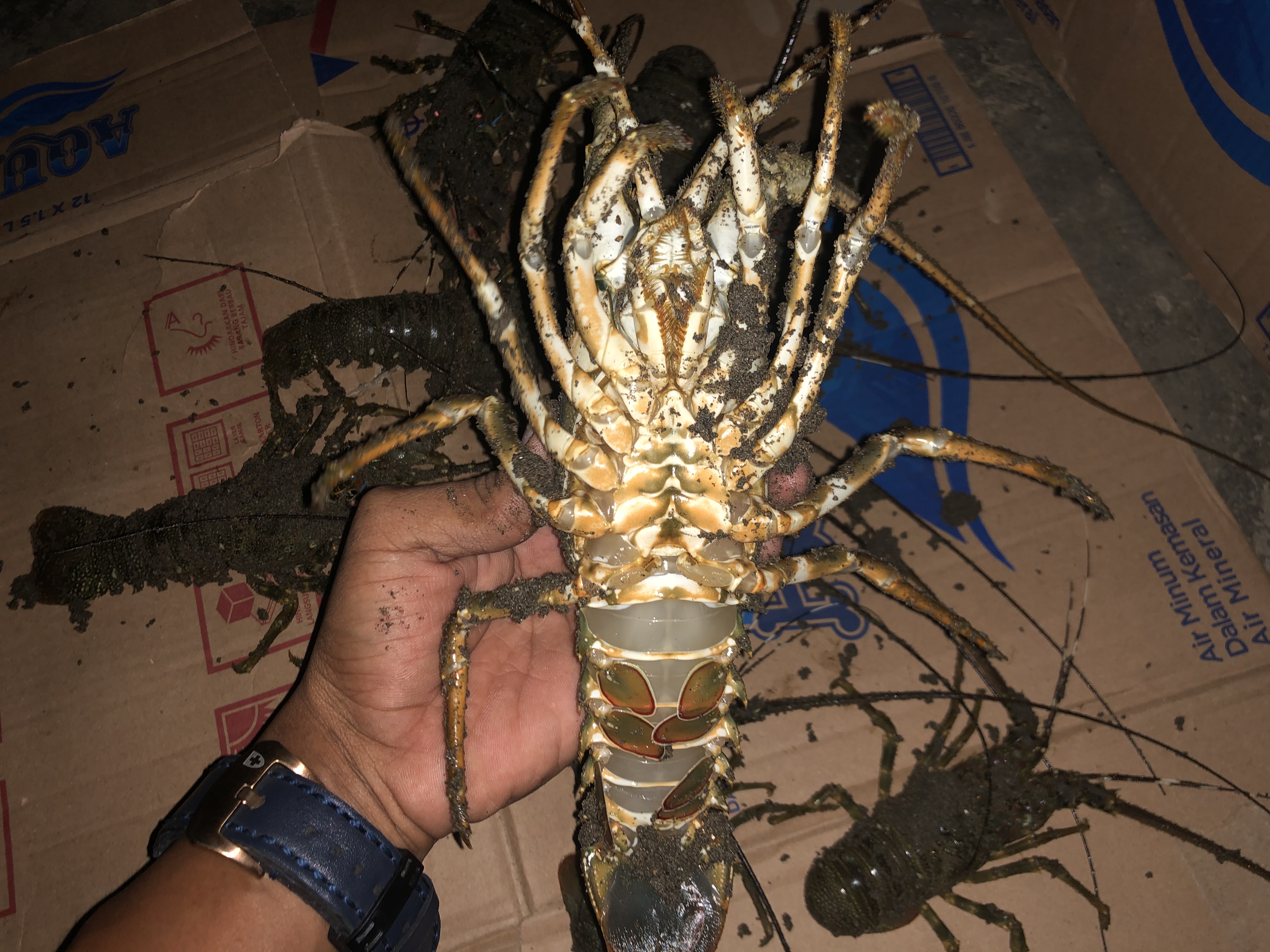 5B253144-B336-4931-B04A-2F514D09DF7B.jpeg